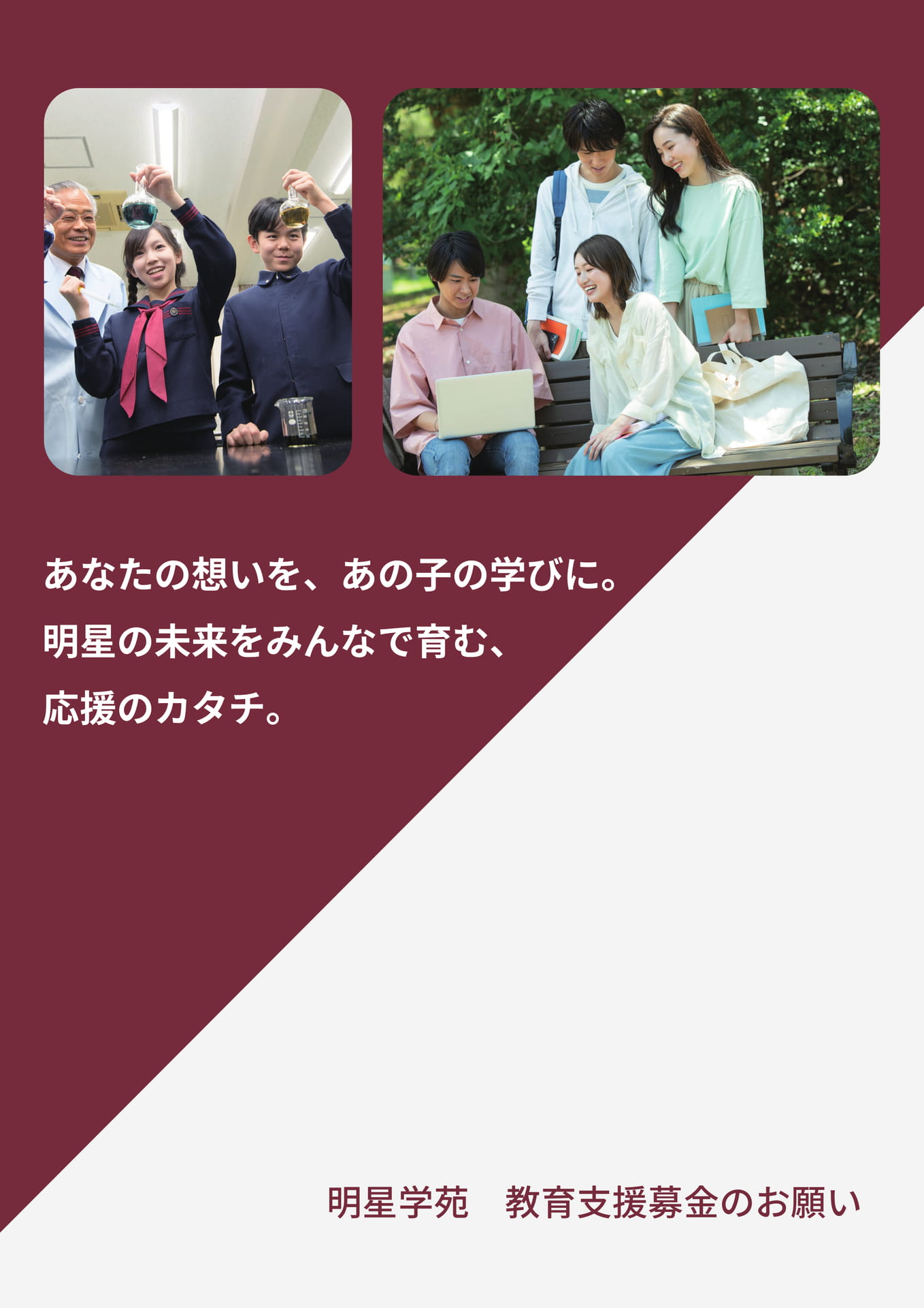 Page 1(1ページ目)