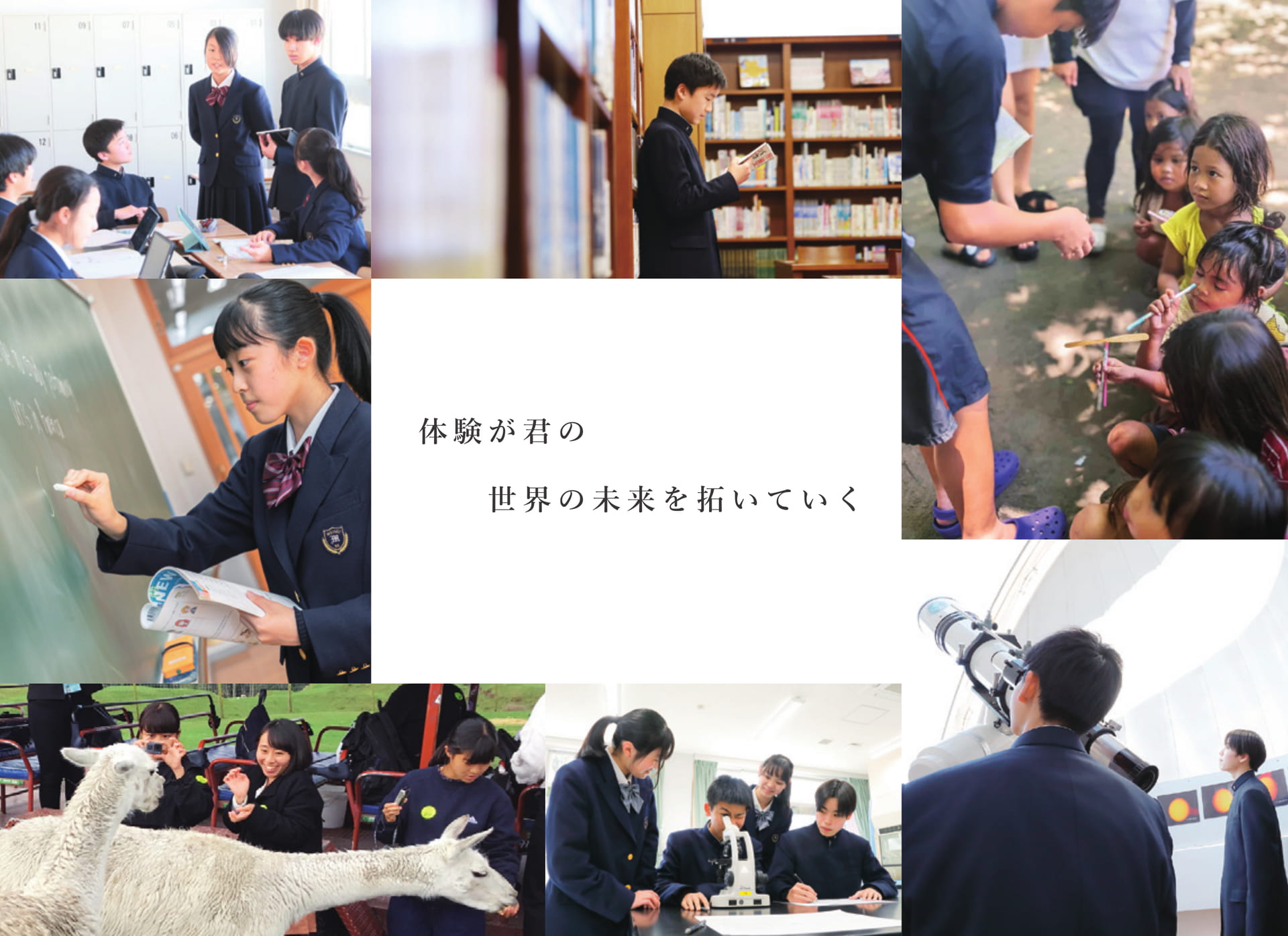 Page 16（16ページ目）