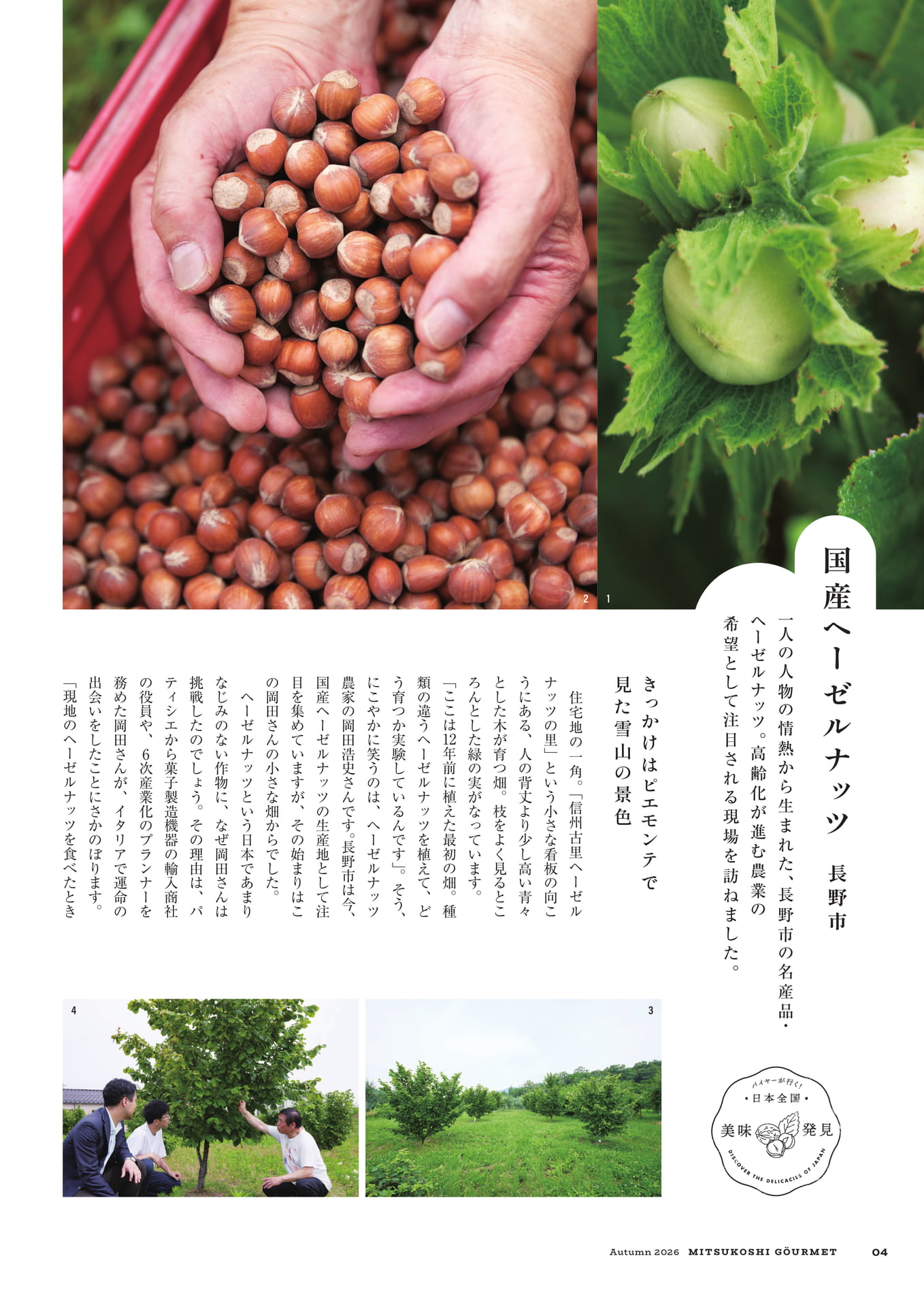 長野市のヘーゼルナッツ(4ページ目)