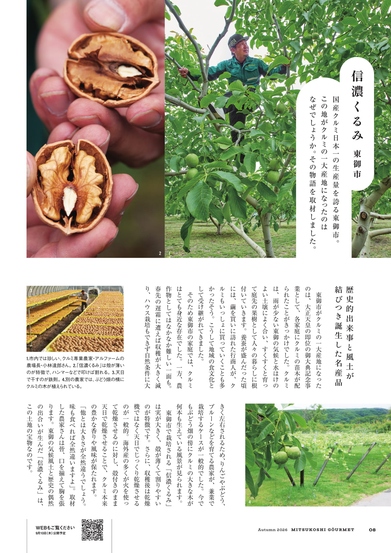 信濃くるみ 東御市(8ページ目)