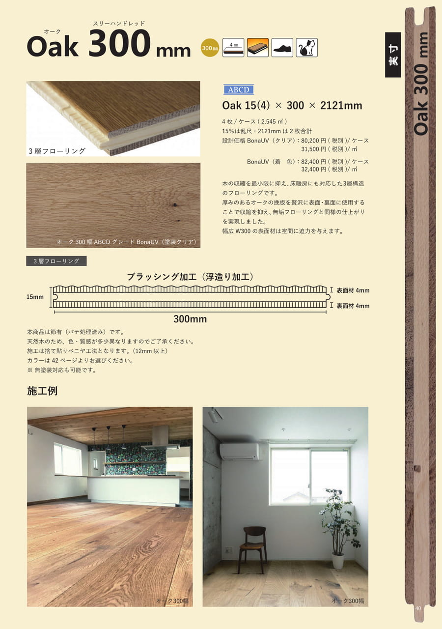 Page 41（41ページ目）