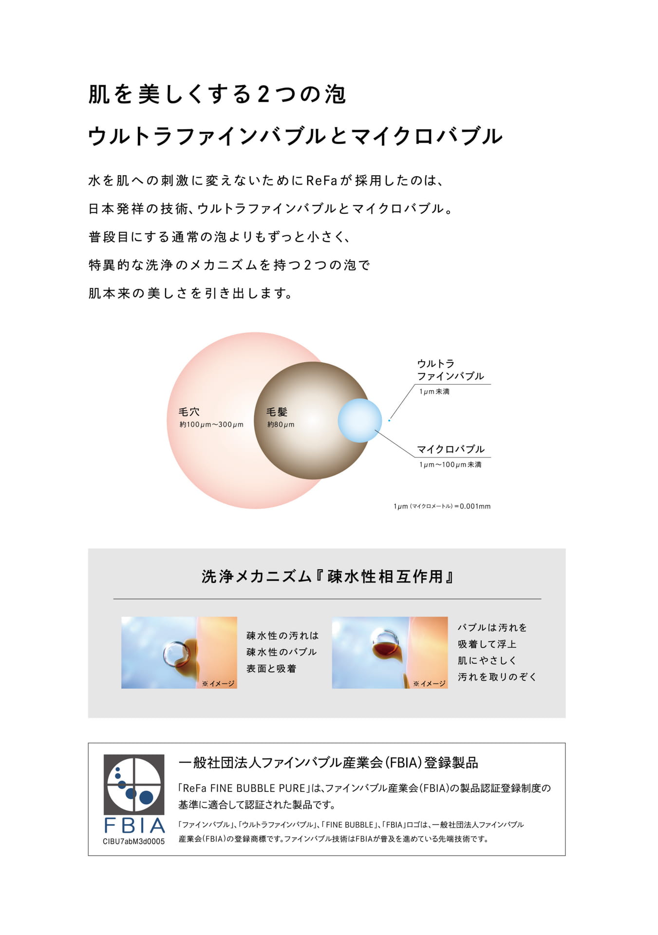 Page 4（4ページ目）