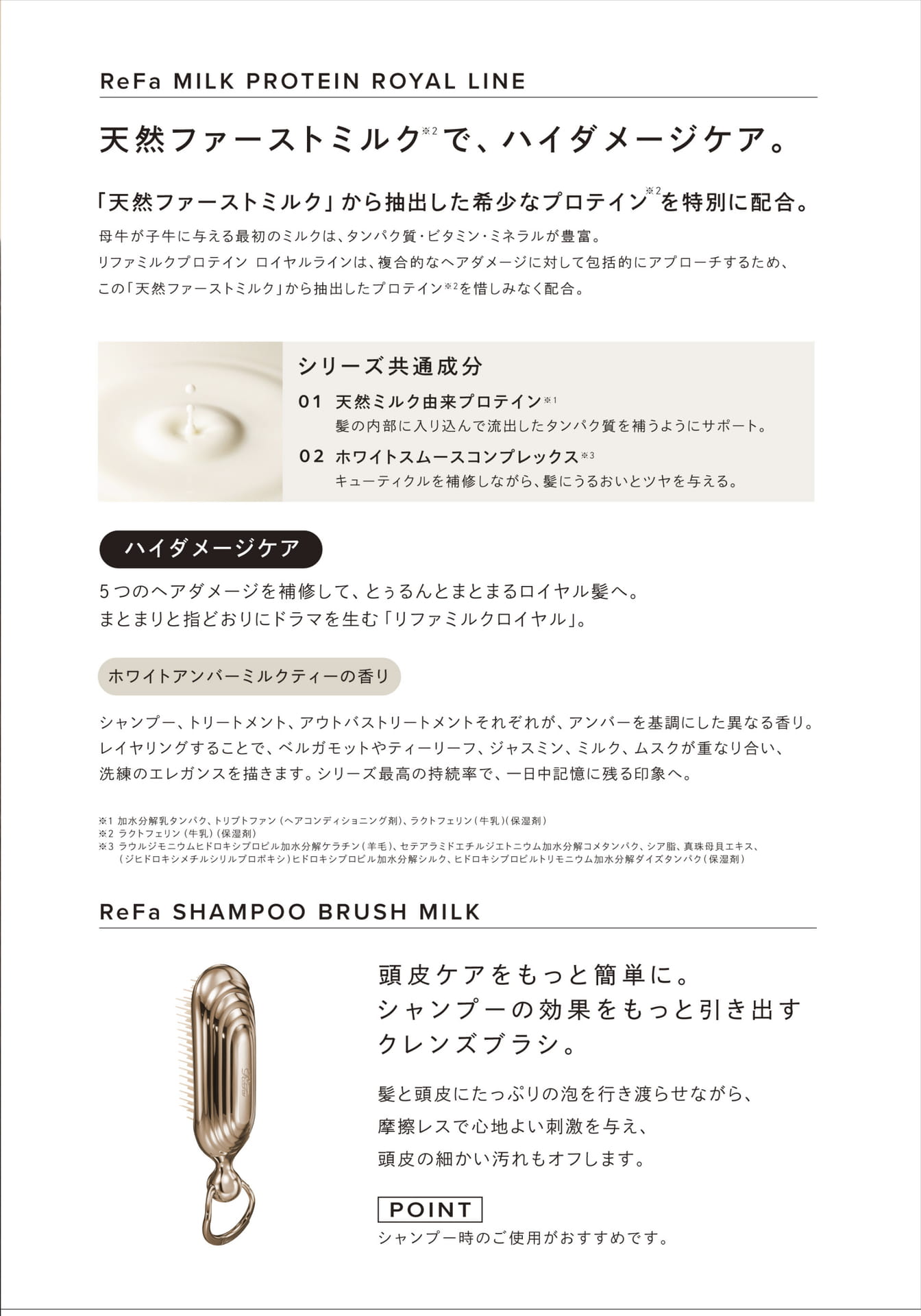 Page 3（3ページ目）