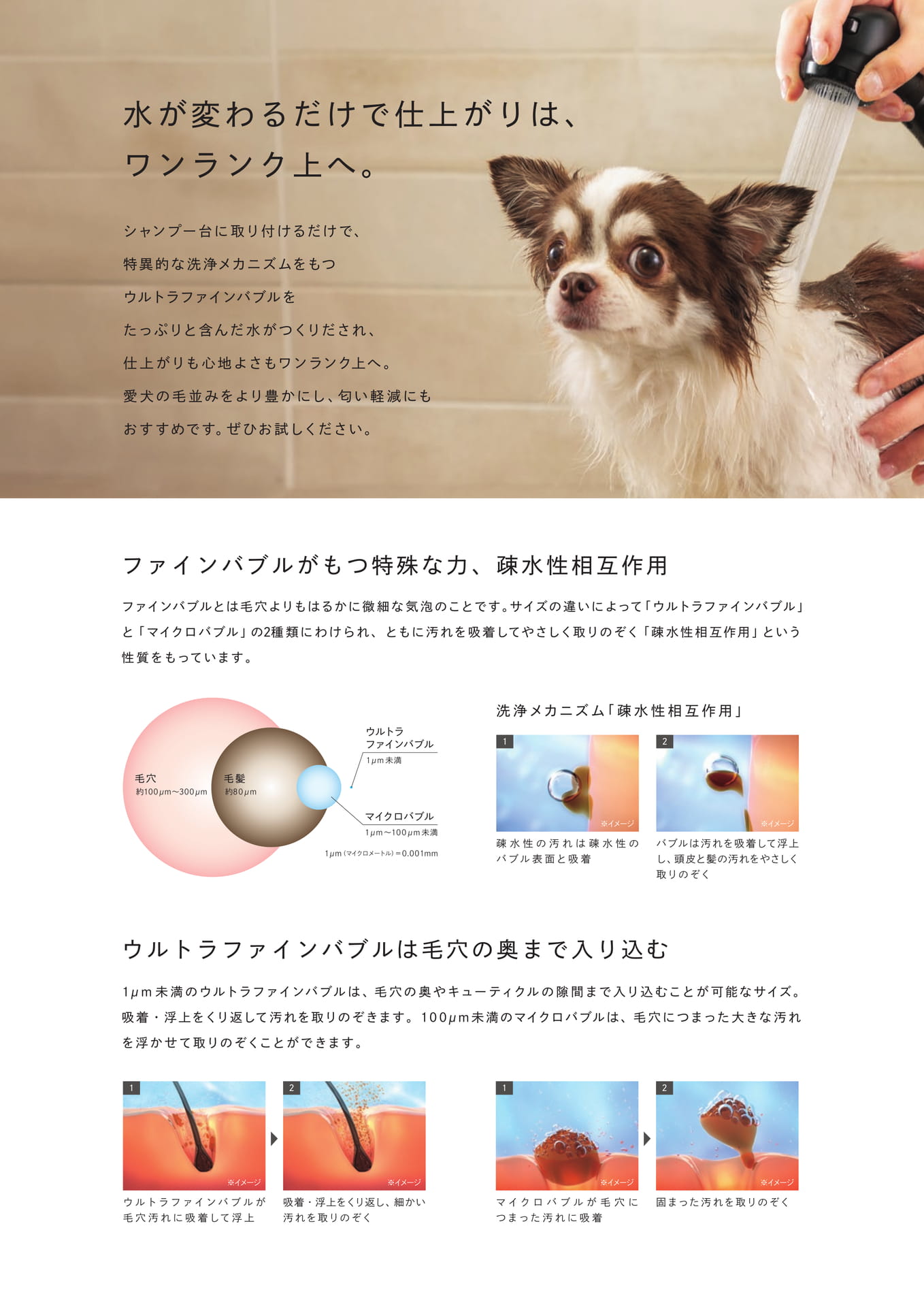 Page 2（2ページ目）