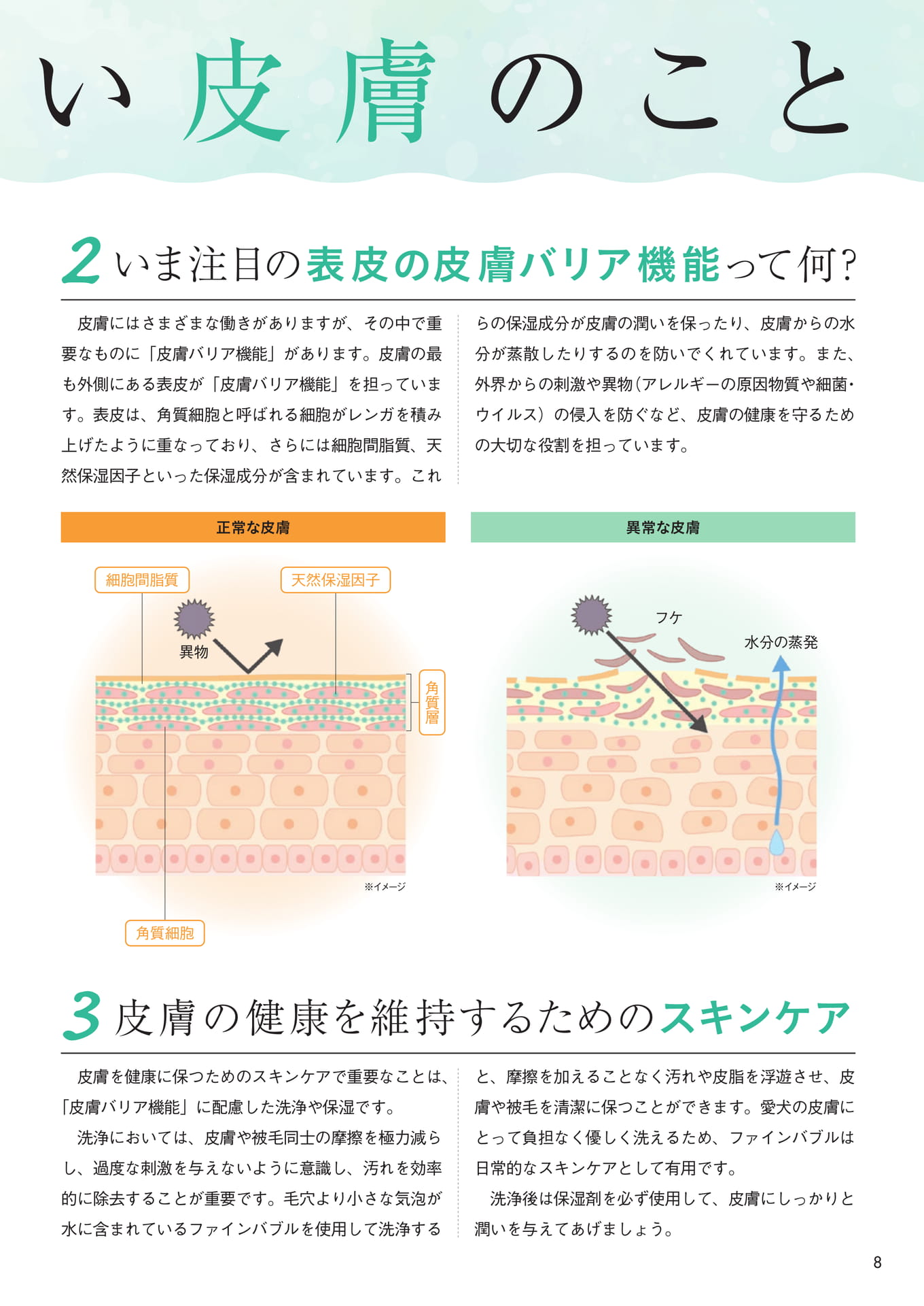 皮膚の健康を維持するためのスキンケア(9ページ目)