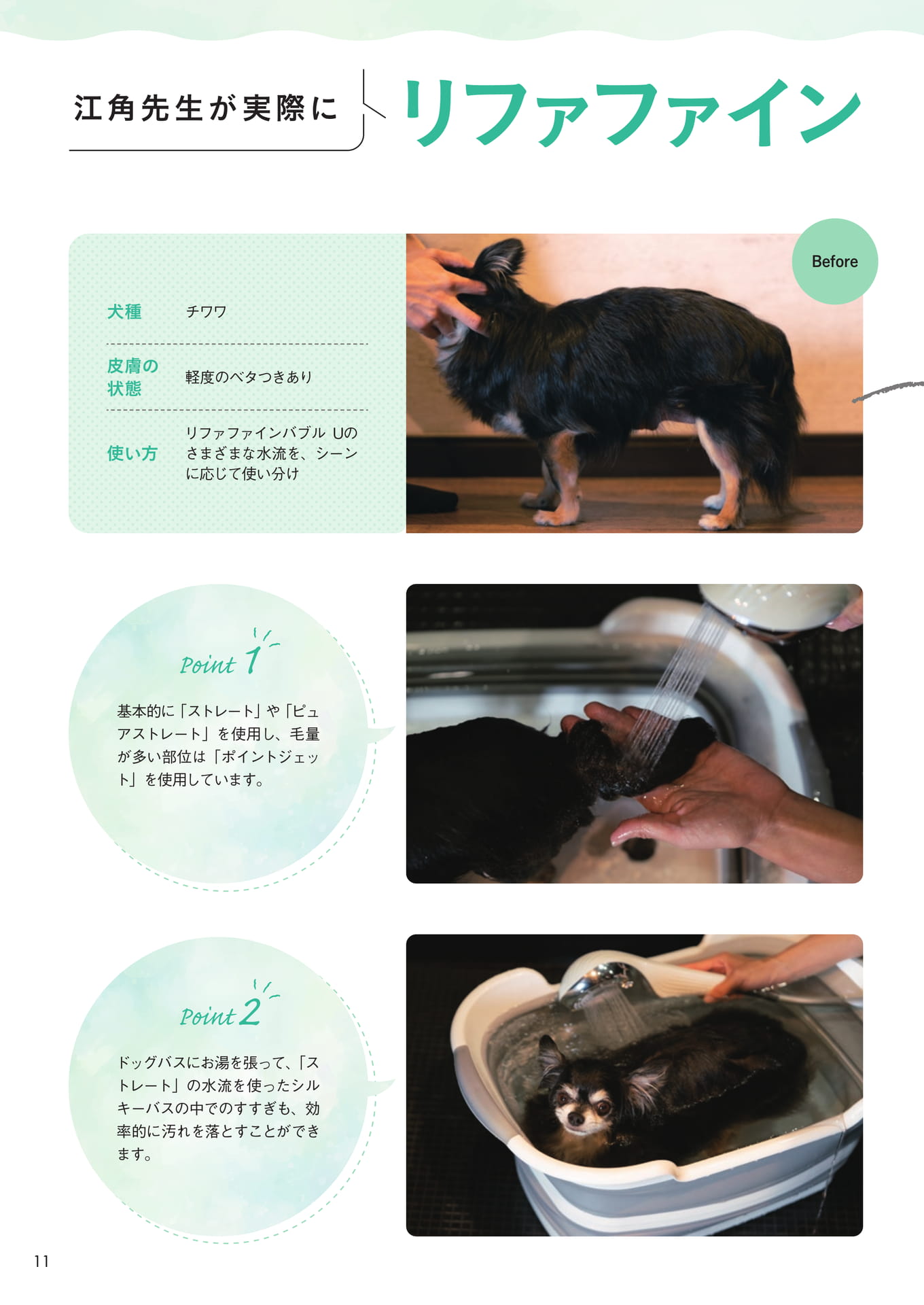 リファファインバブル U の使用例(12ページ目)