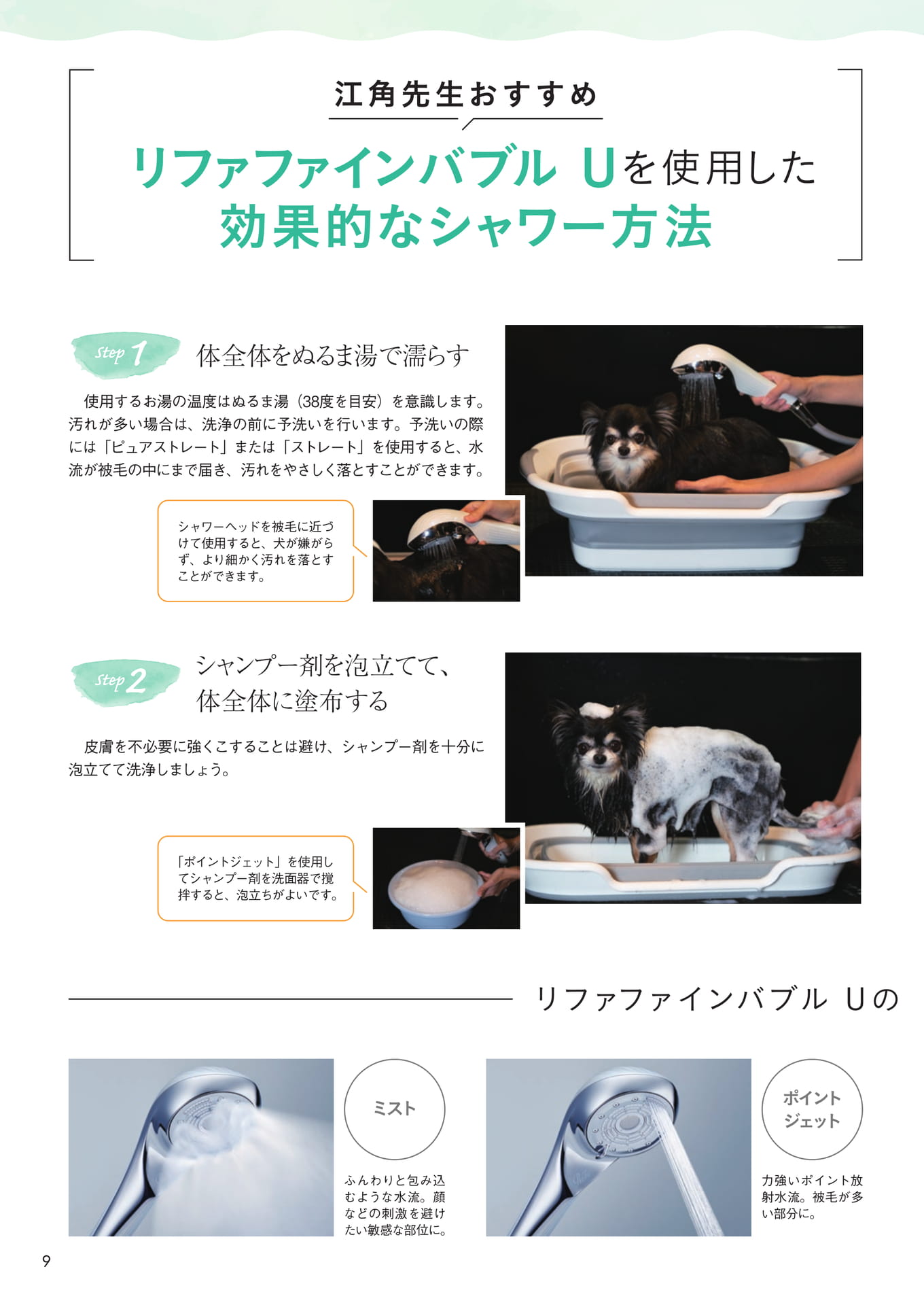 Page 10（10ページ目）