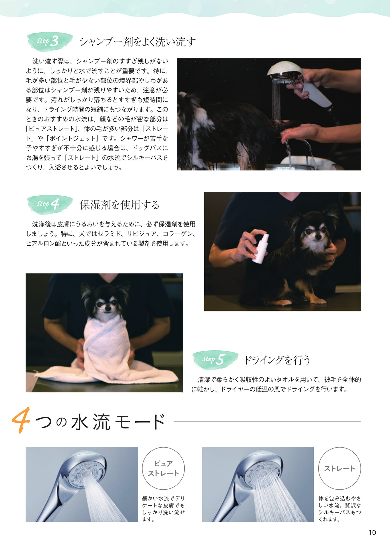 Page 11（11ページ目）