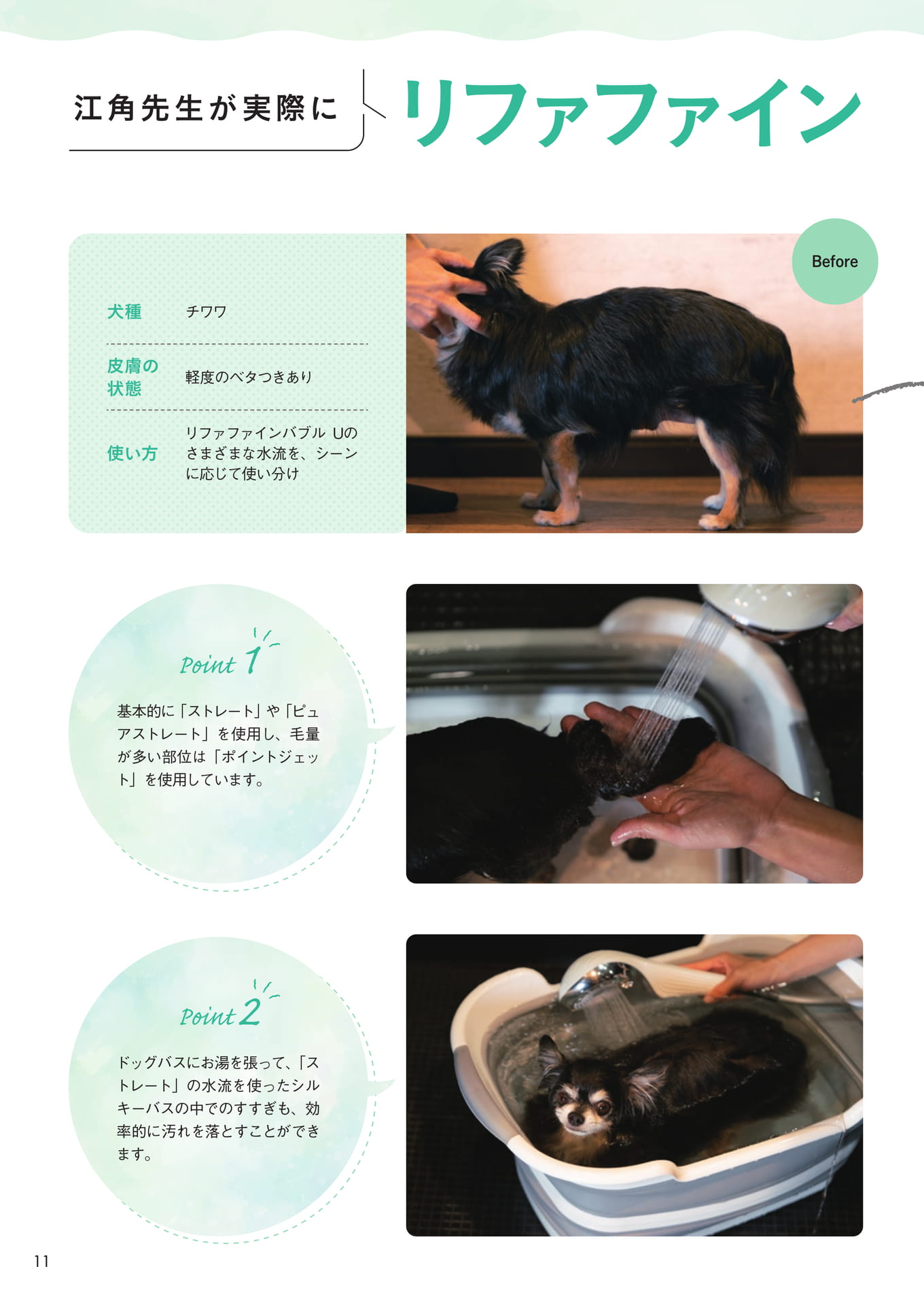 Page 12（12ページ目）