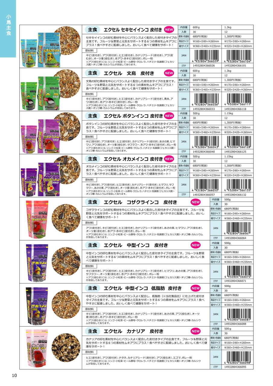 Page 10（10ページ目）