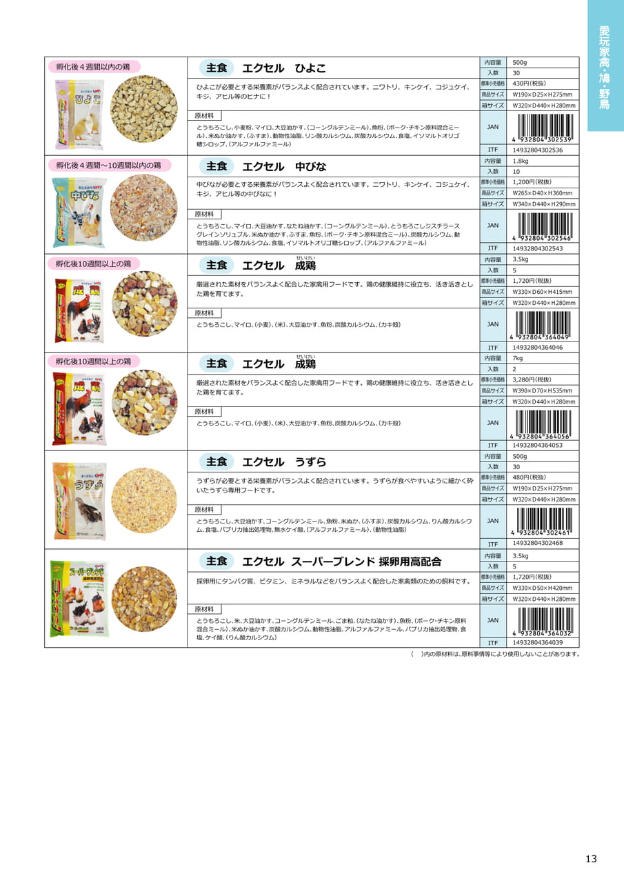 Page 13（13ページ目）