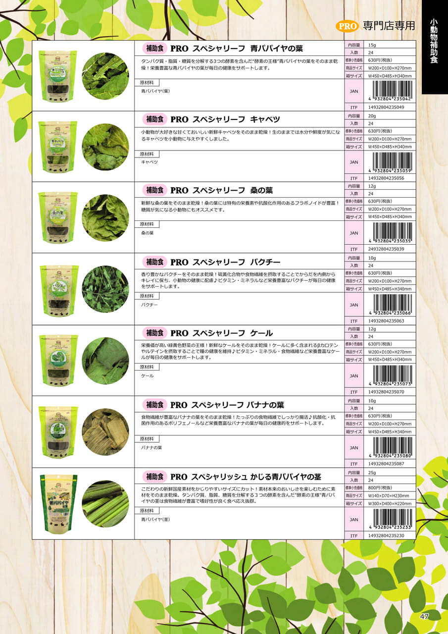Page 47（47ページ目）