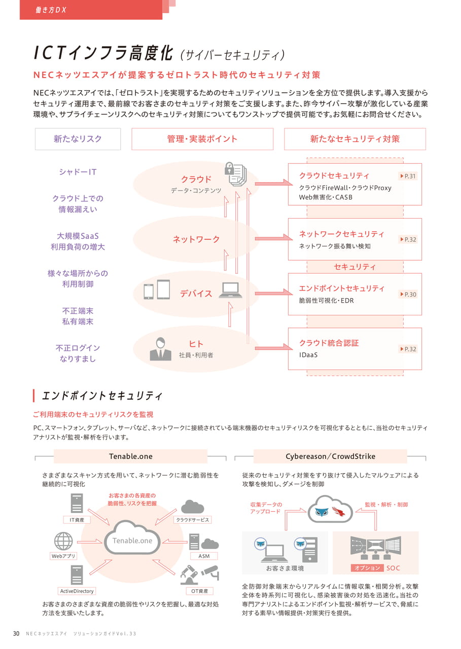 ICTインフラ高度化(サイバーセュリティ)(30ページ目)