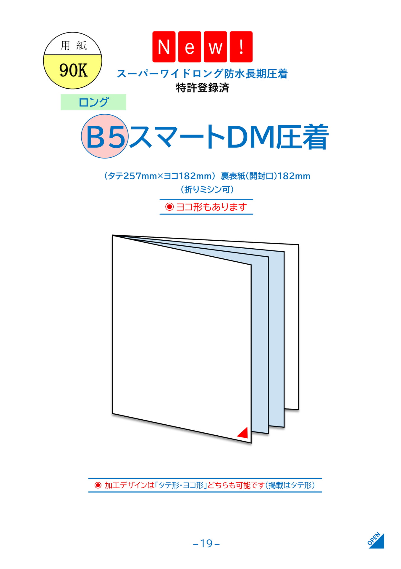 Page 21（21ページ目）