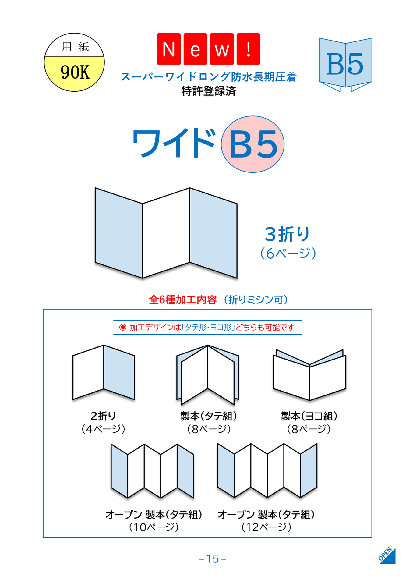 Page 17（17ページ目）