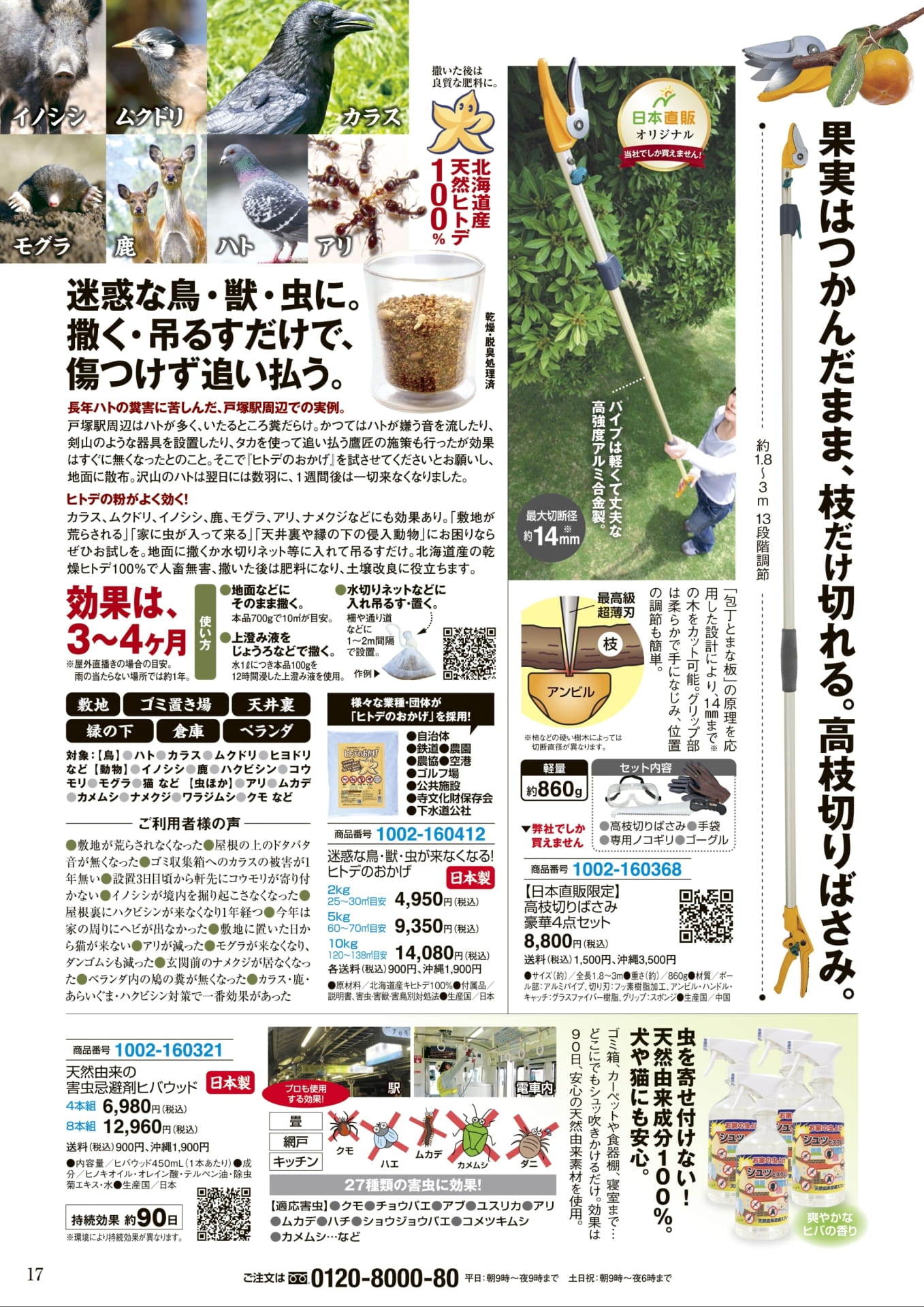 Page 17(17ページ目)
