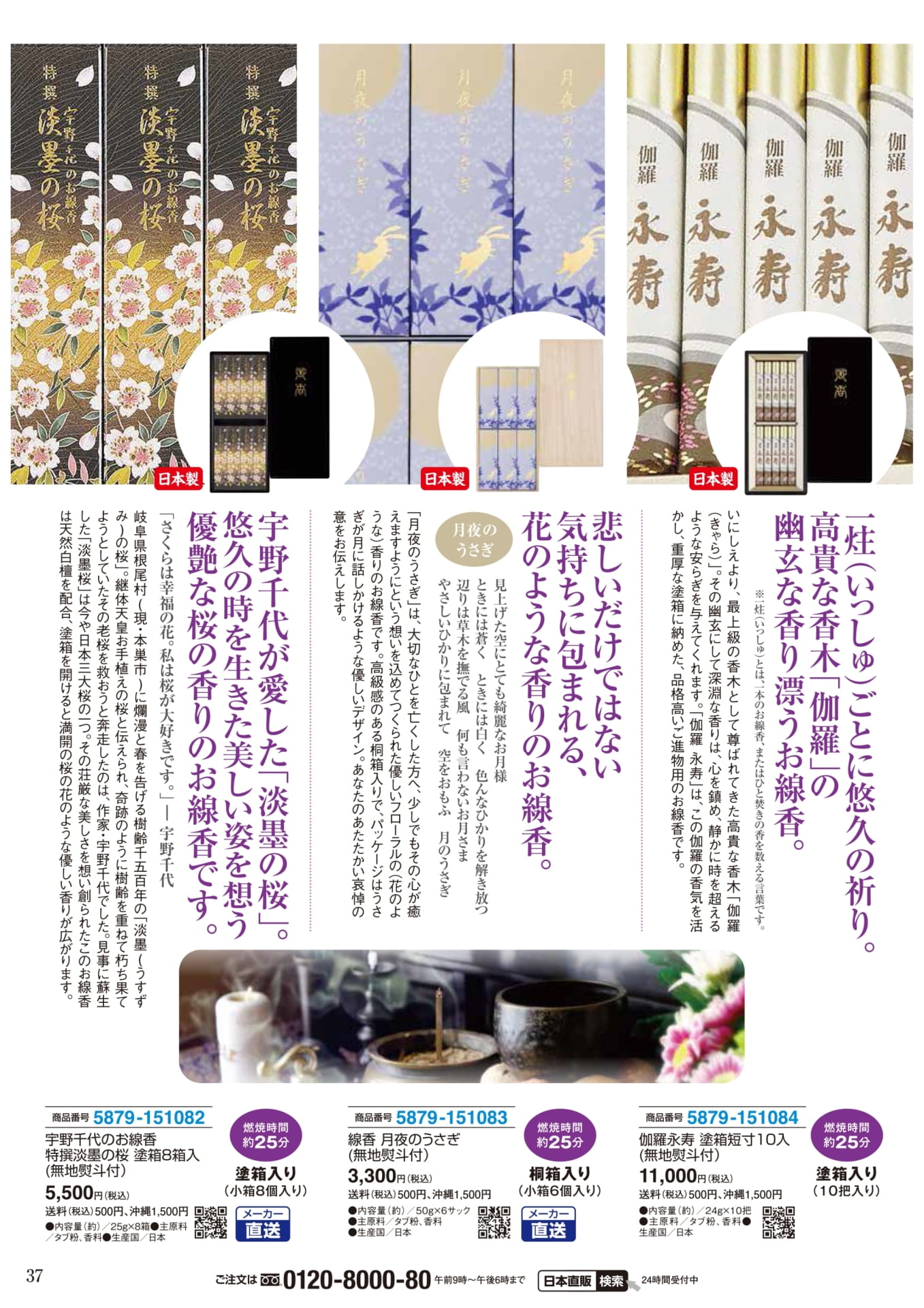 Page 37（37ページ目）