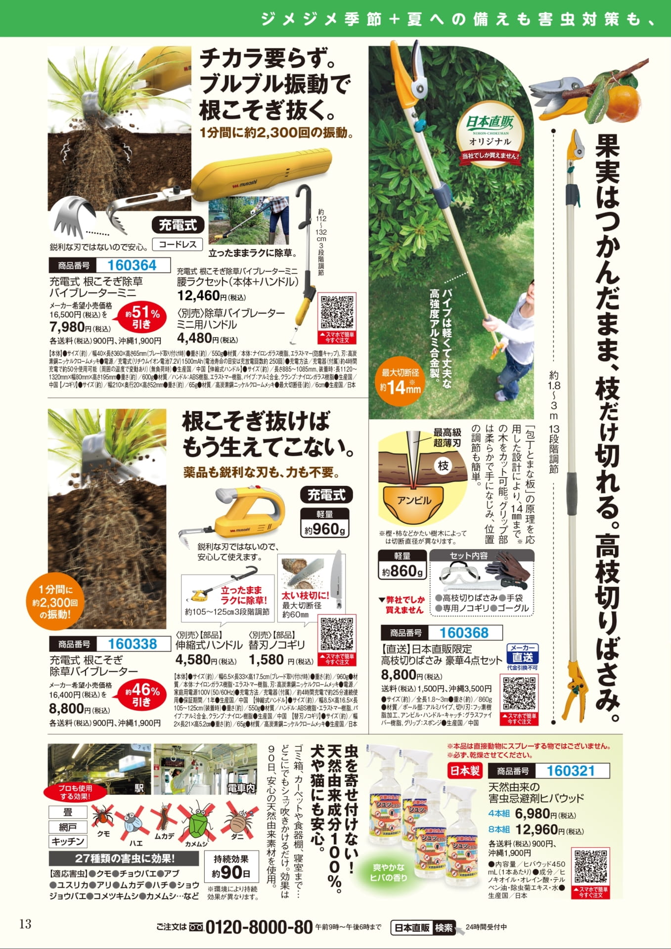 Page 13(13ページ目)