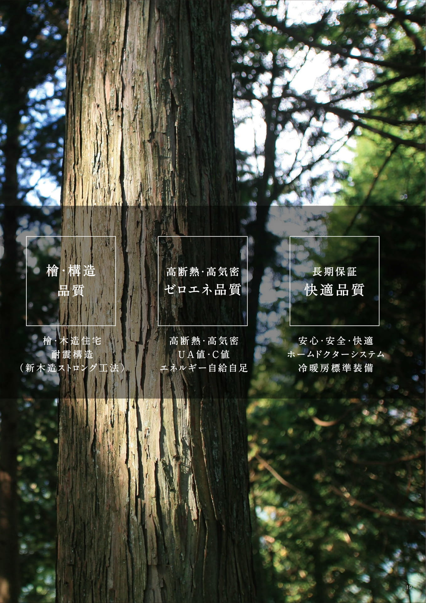 Page 19（19ページ目）