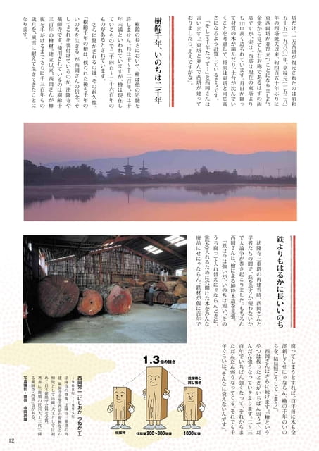 Page 13（13ページ目）