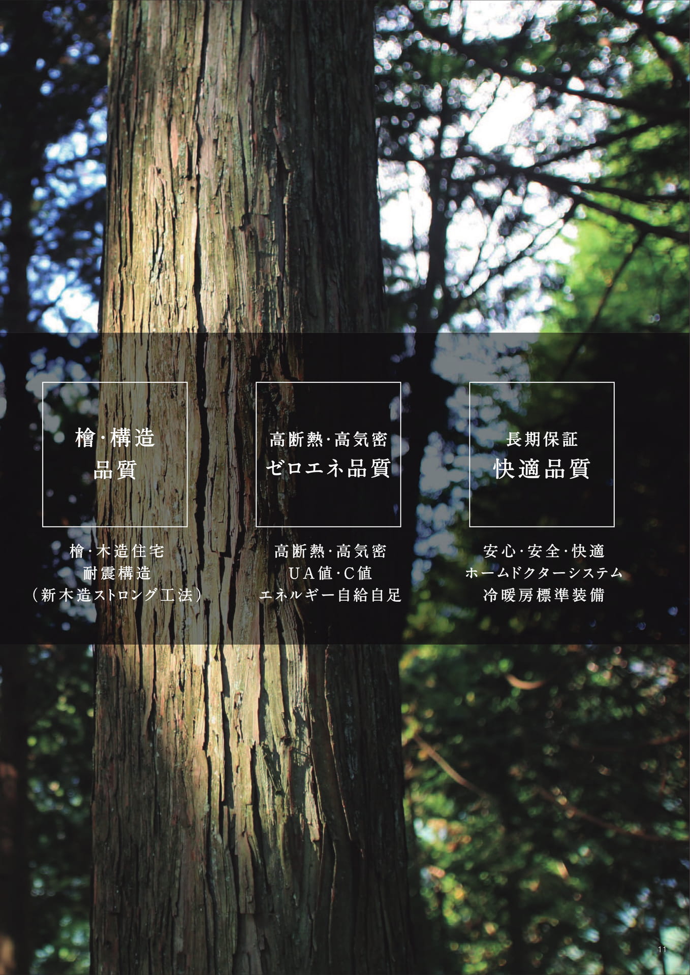 Page 11（11ページ目）