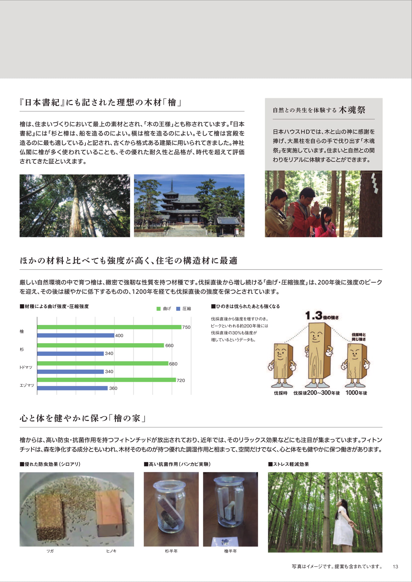 Page 13（13ページ目）