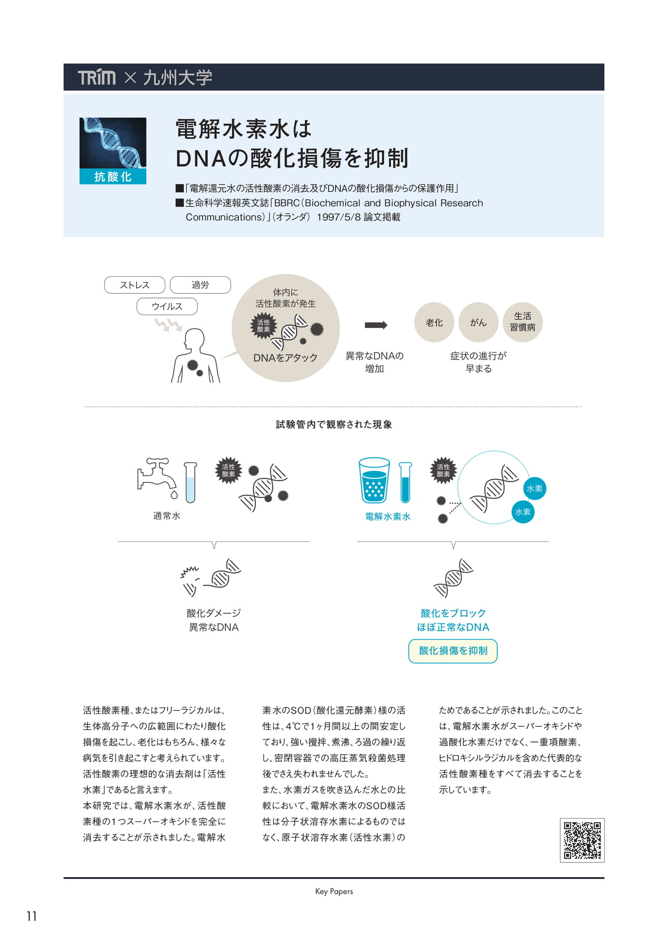 Page (追加)12(12ページ目)