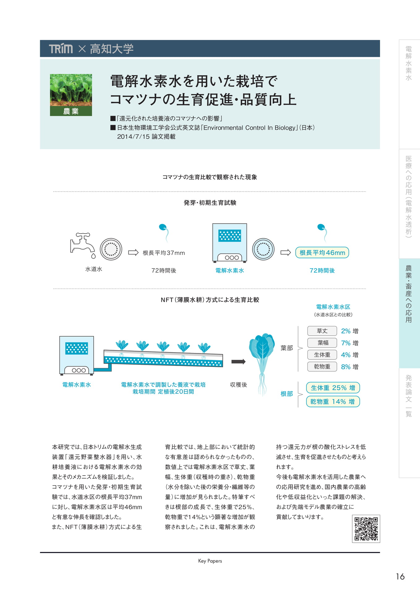 Page (追加)17(17ページ目)