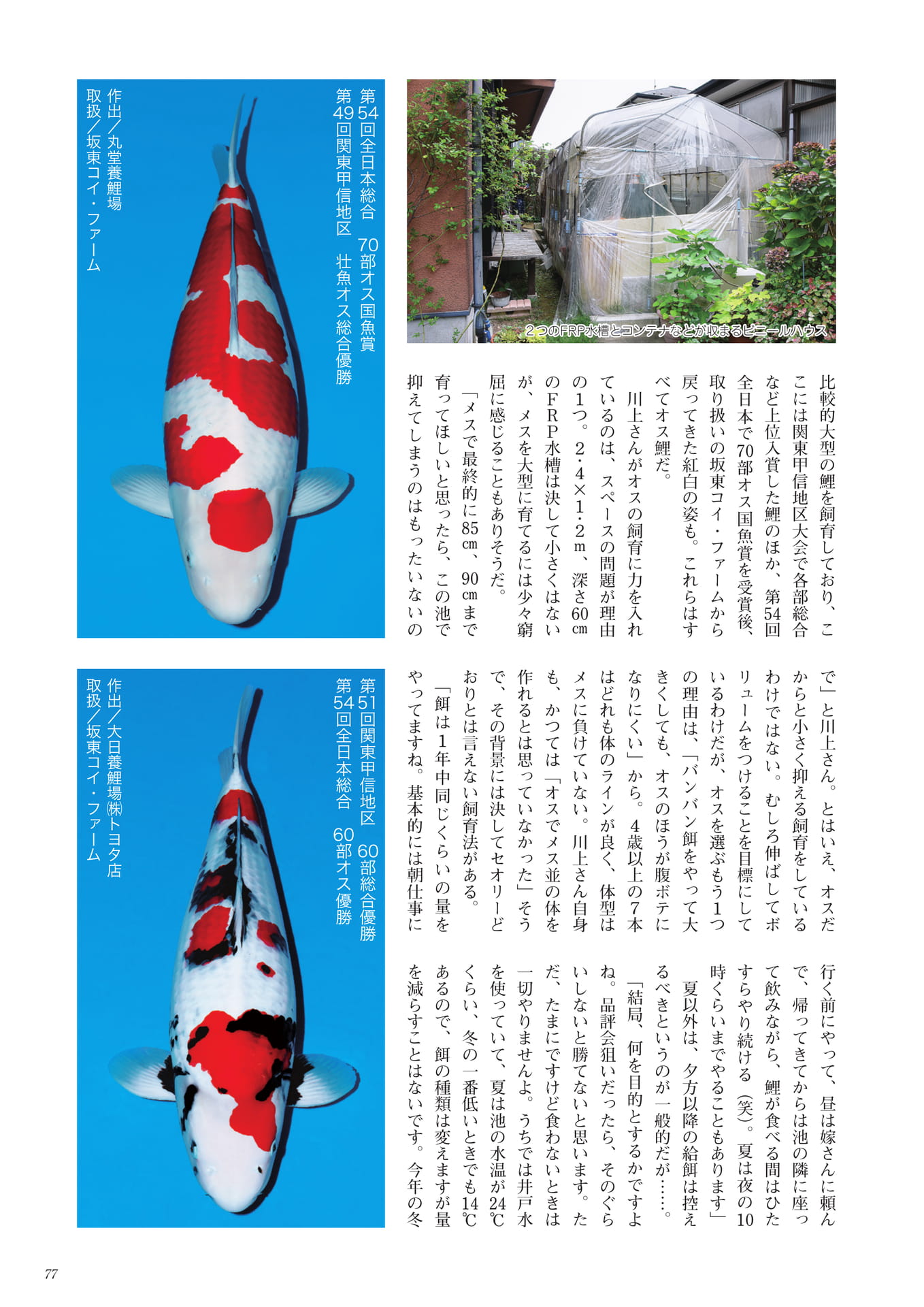 Page 079(11ページ目)