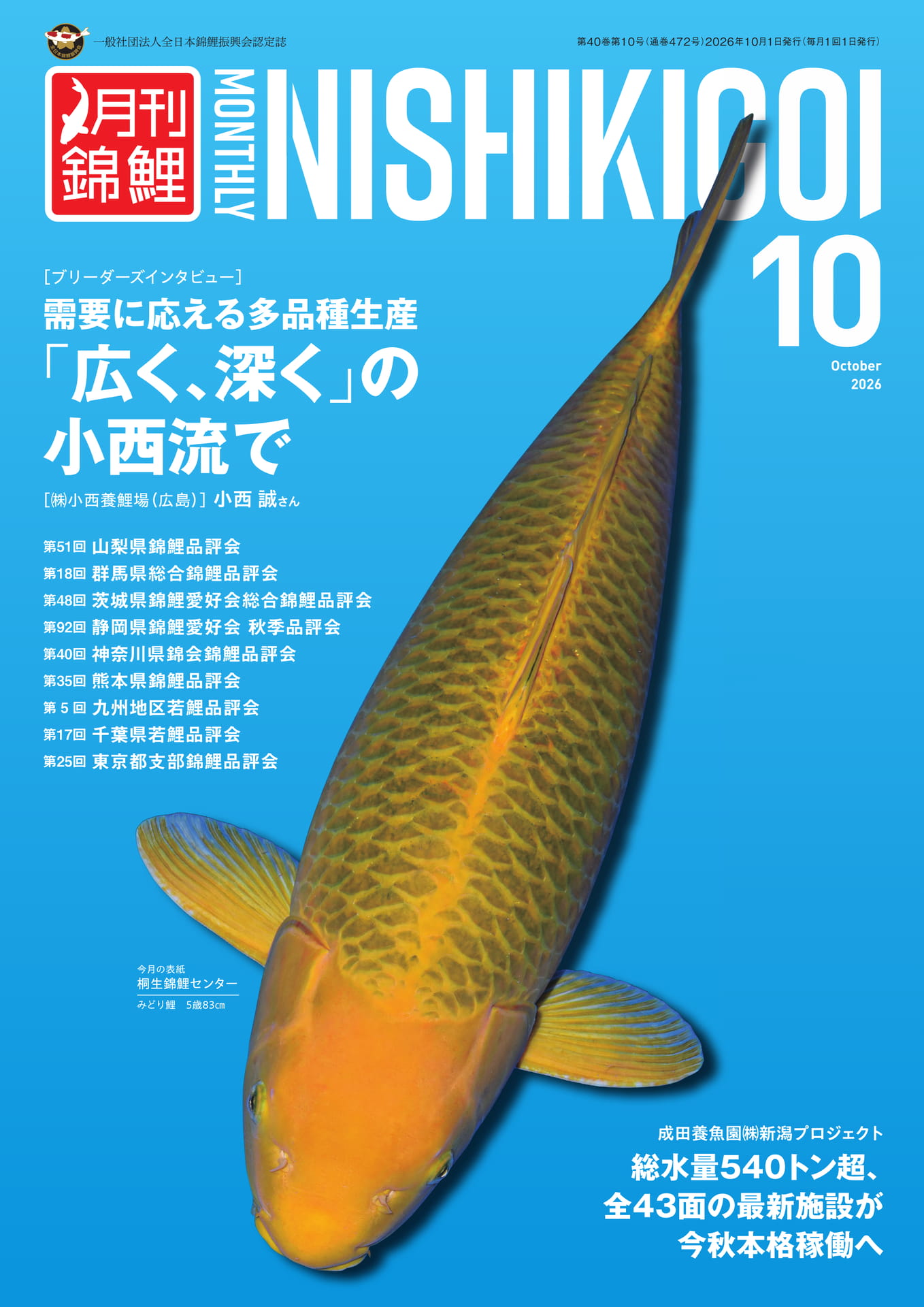 ページ（1ページ目）
