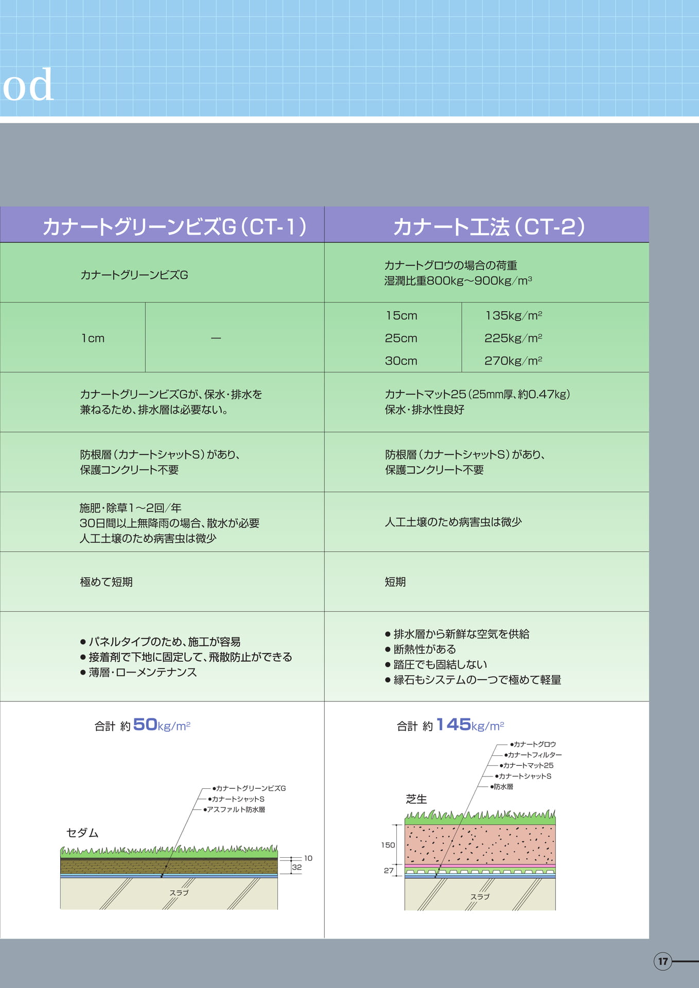 Page 17（17ページ目）