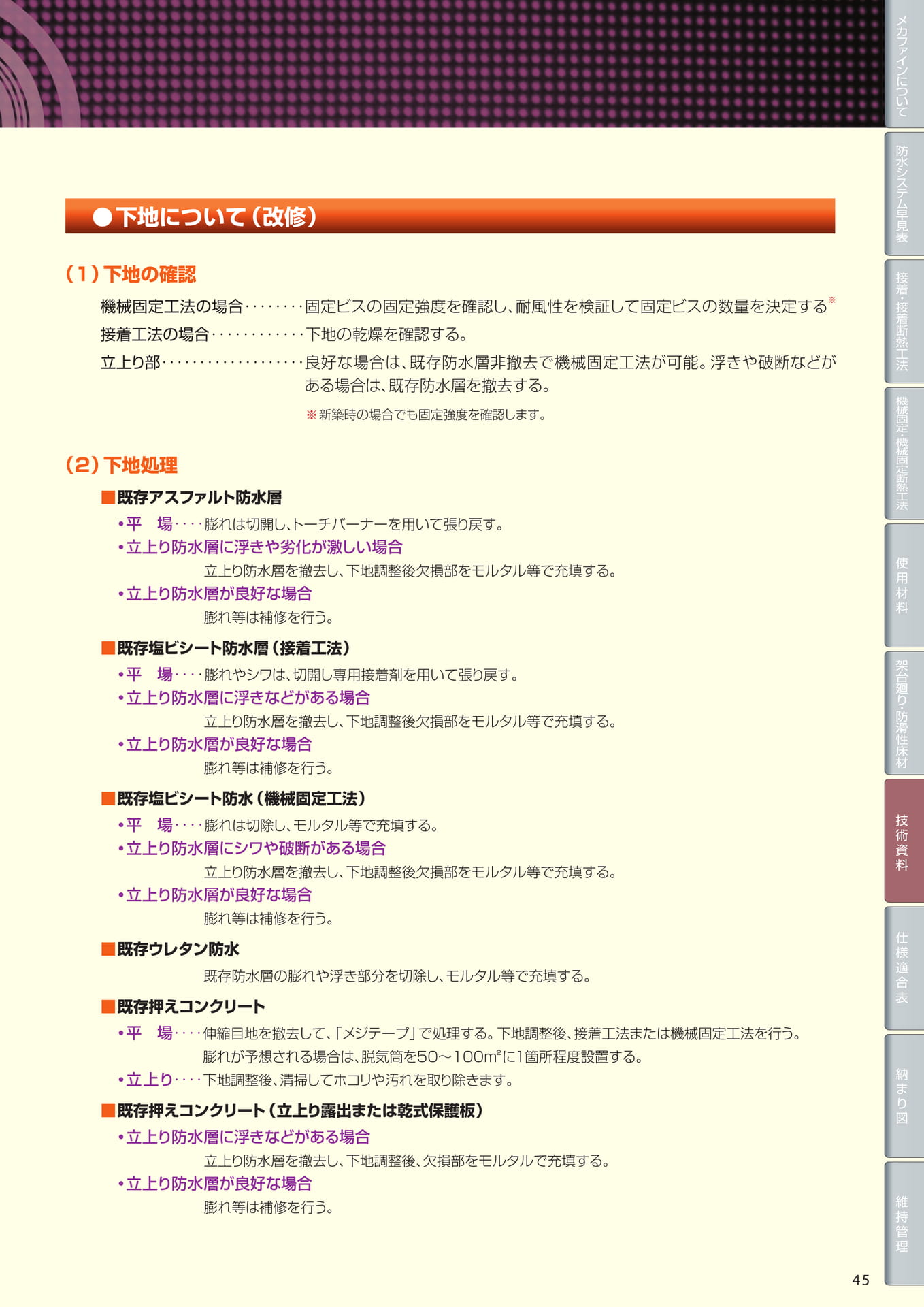 Page 45（45ページ目）