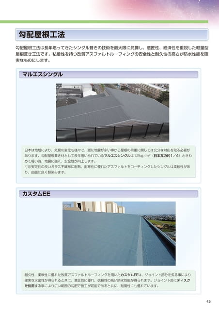Page 045（45ページ目）