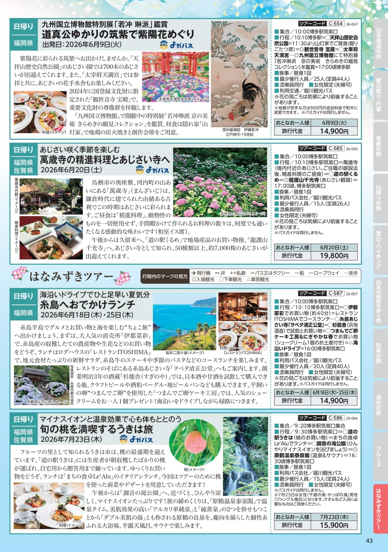 Page 43(43ページ目)
