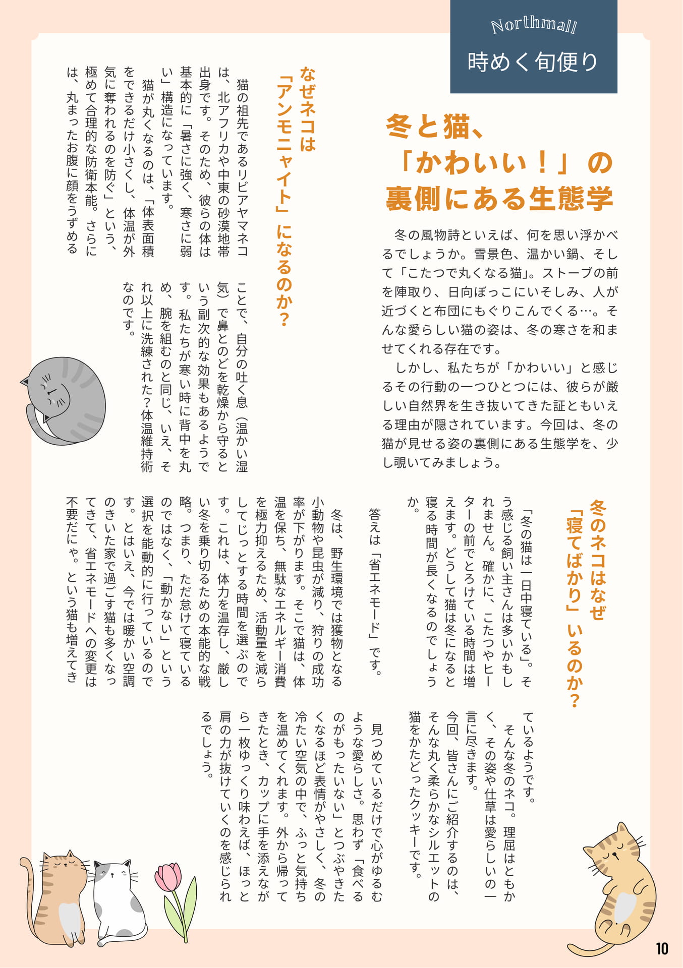 Page 10(10ページ目)