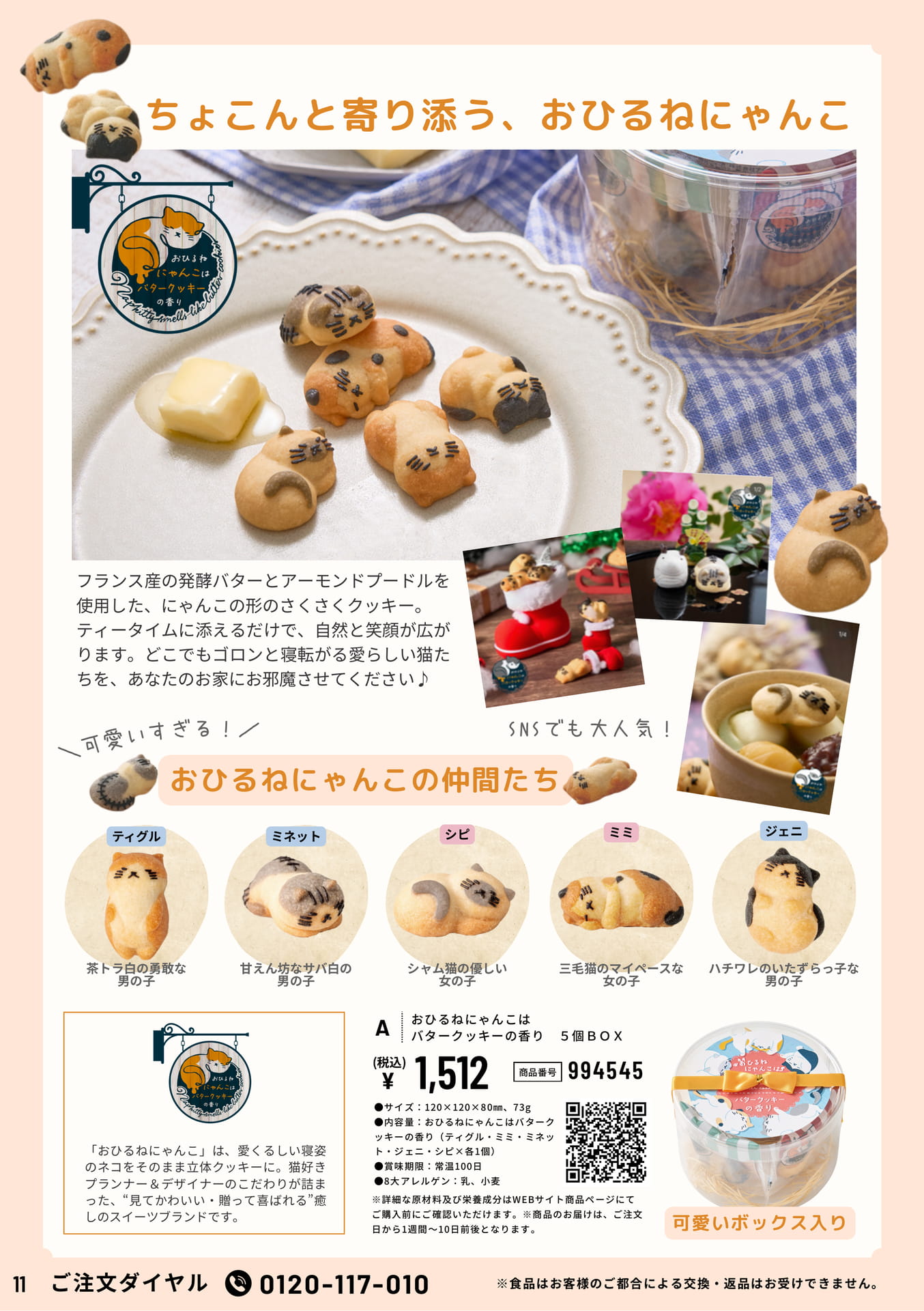Page 11(11ページ目)