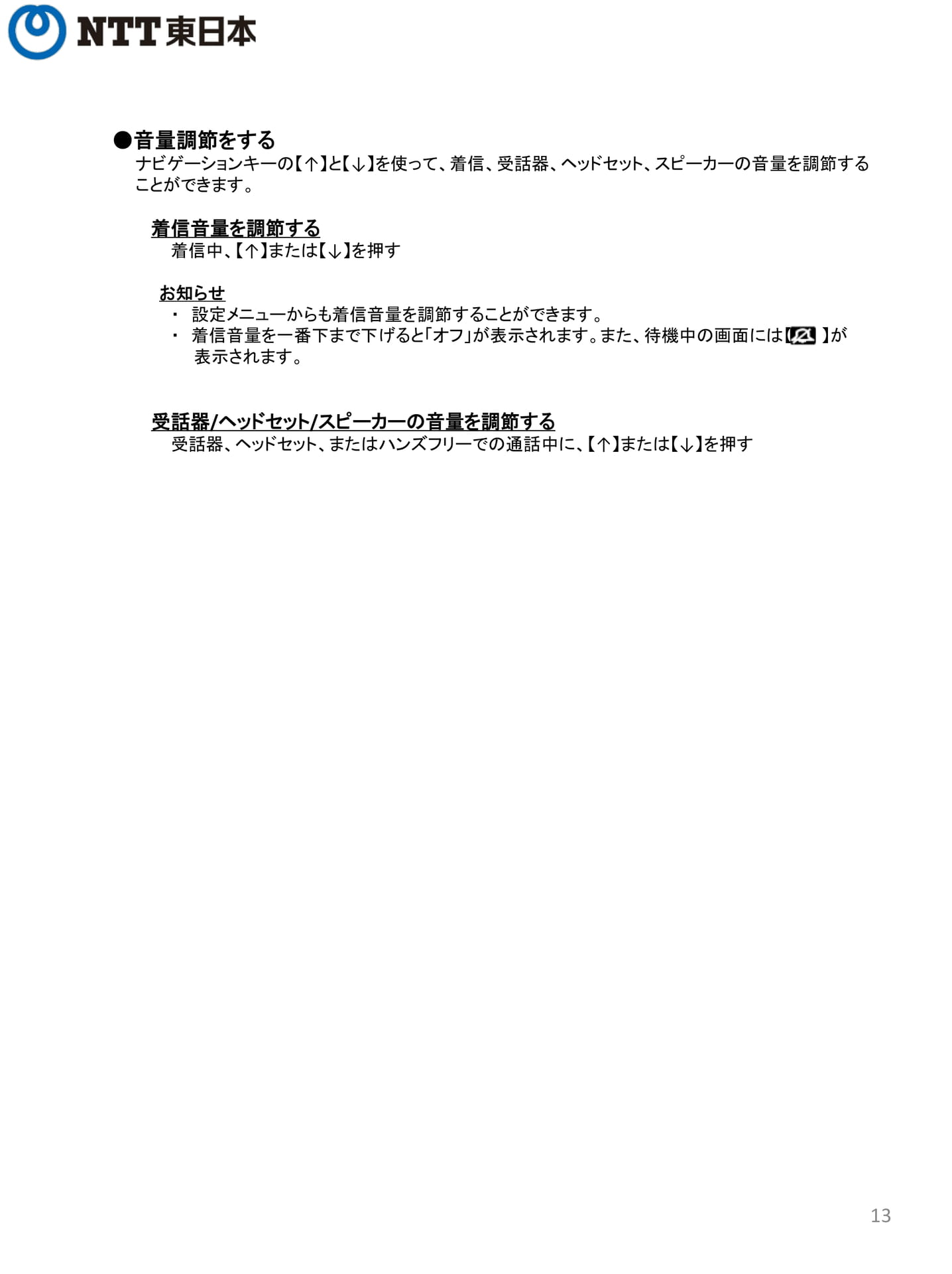 Page 13（13ページ目）