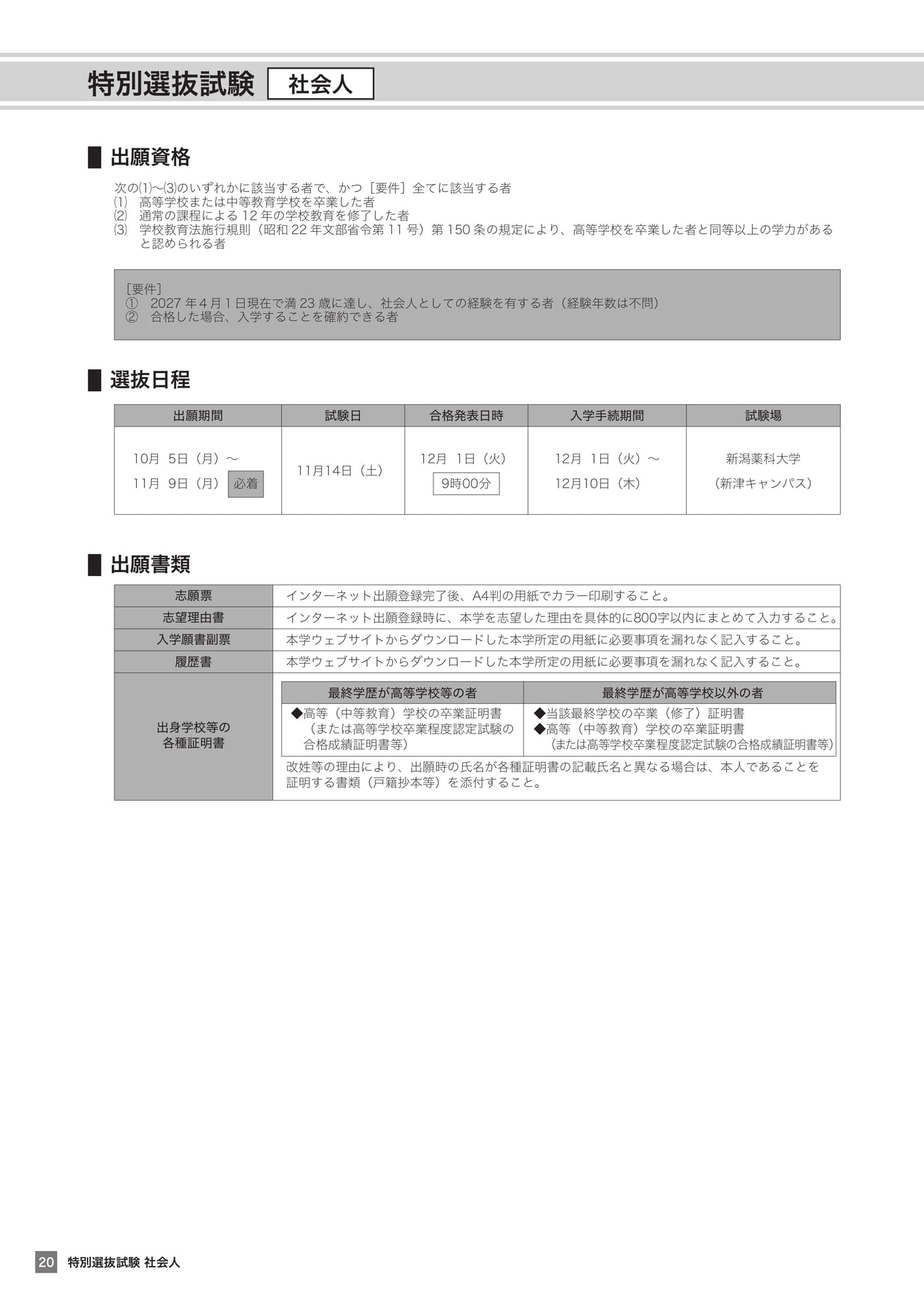 Page (追加)20（20ページ目）