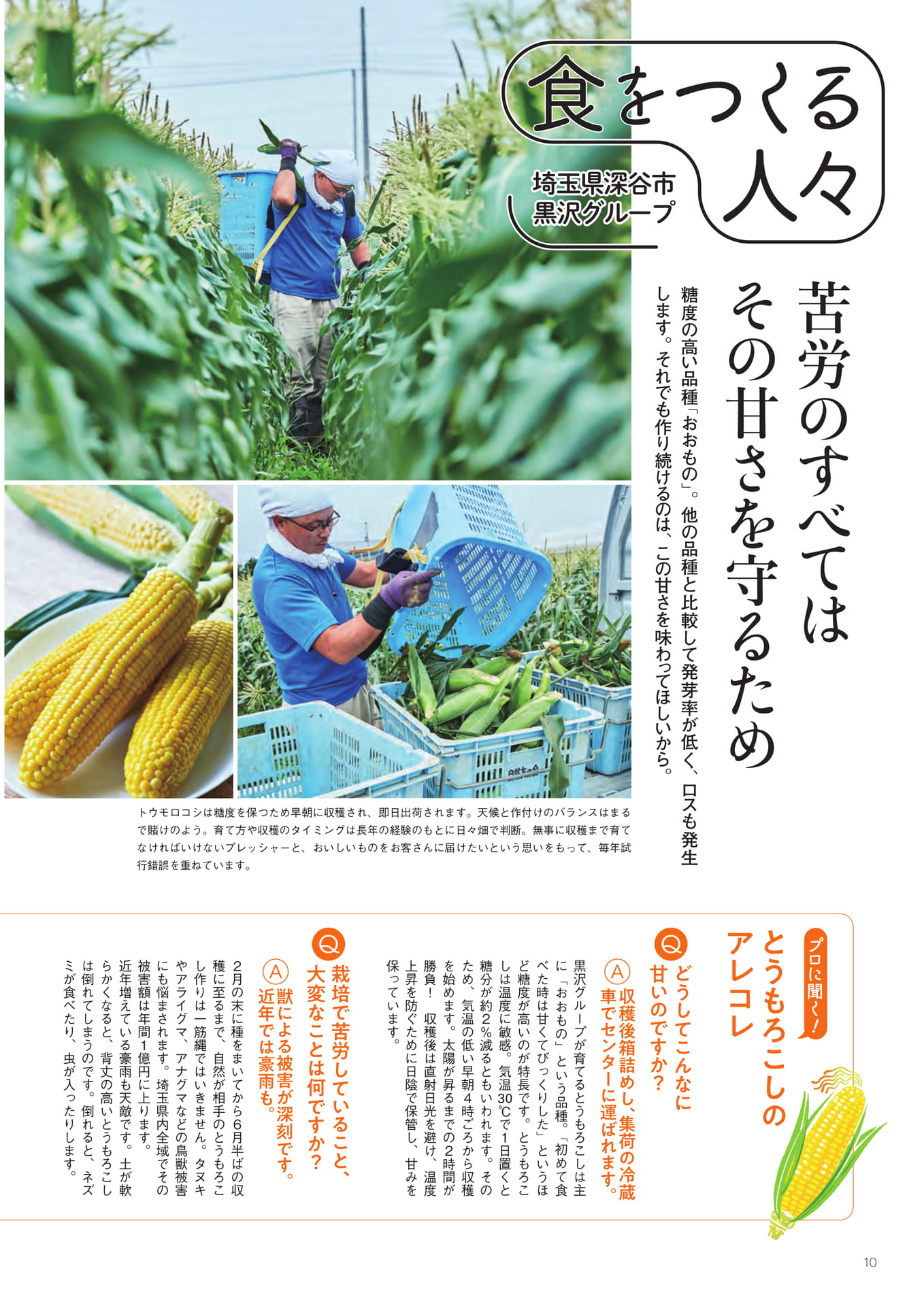 Page 10（10ページ目）