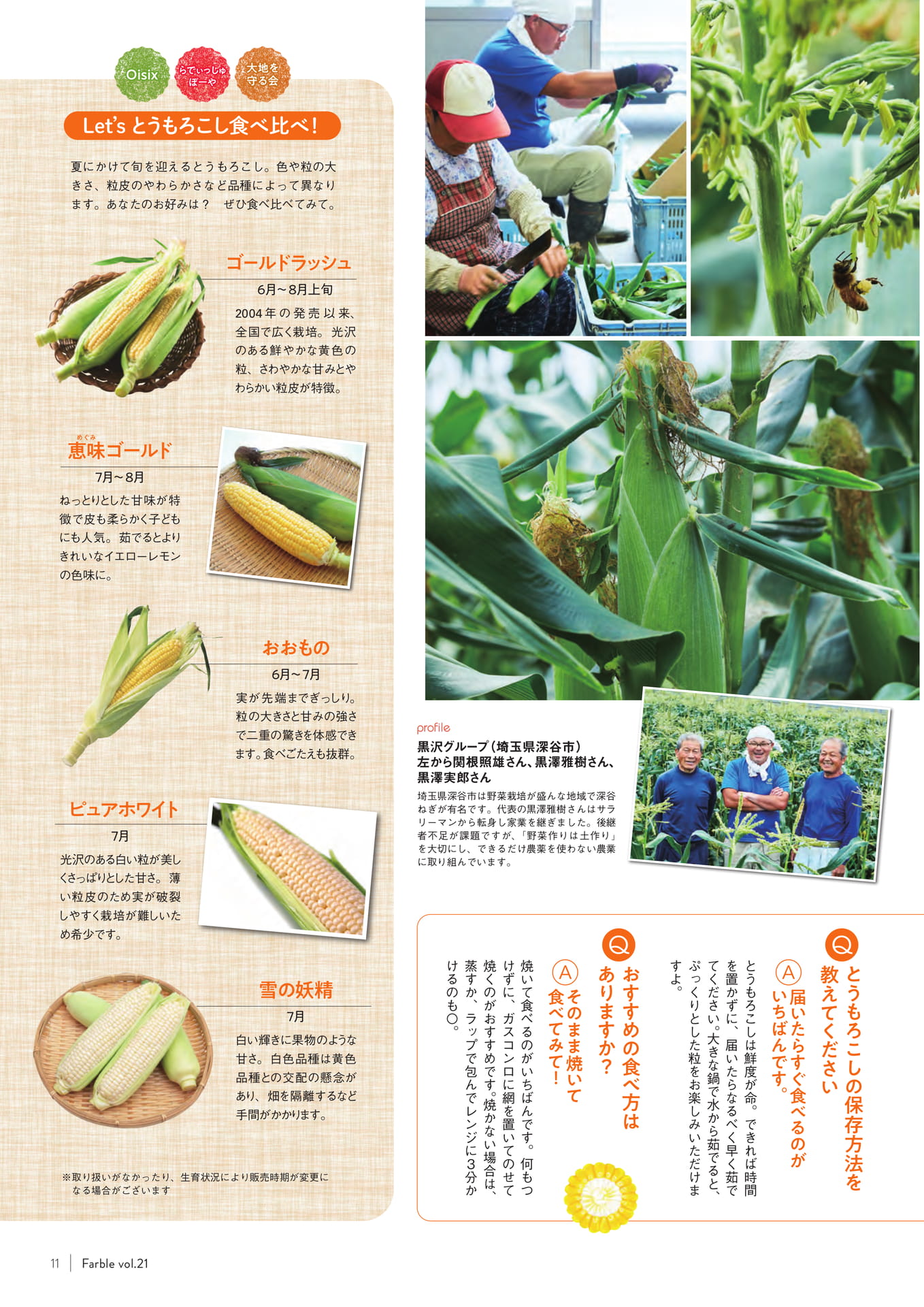 Page 11（11ページ目）
