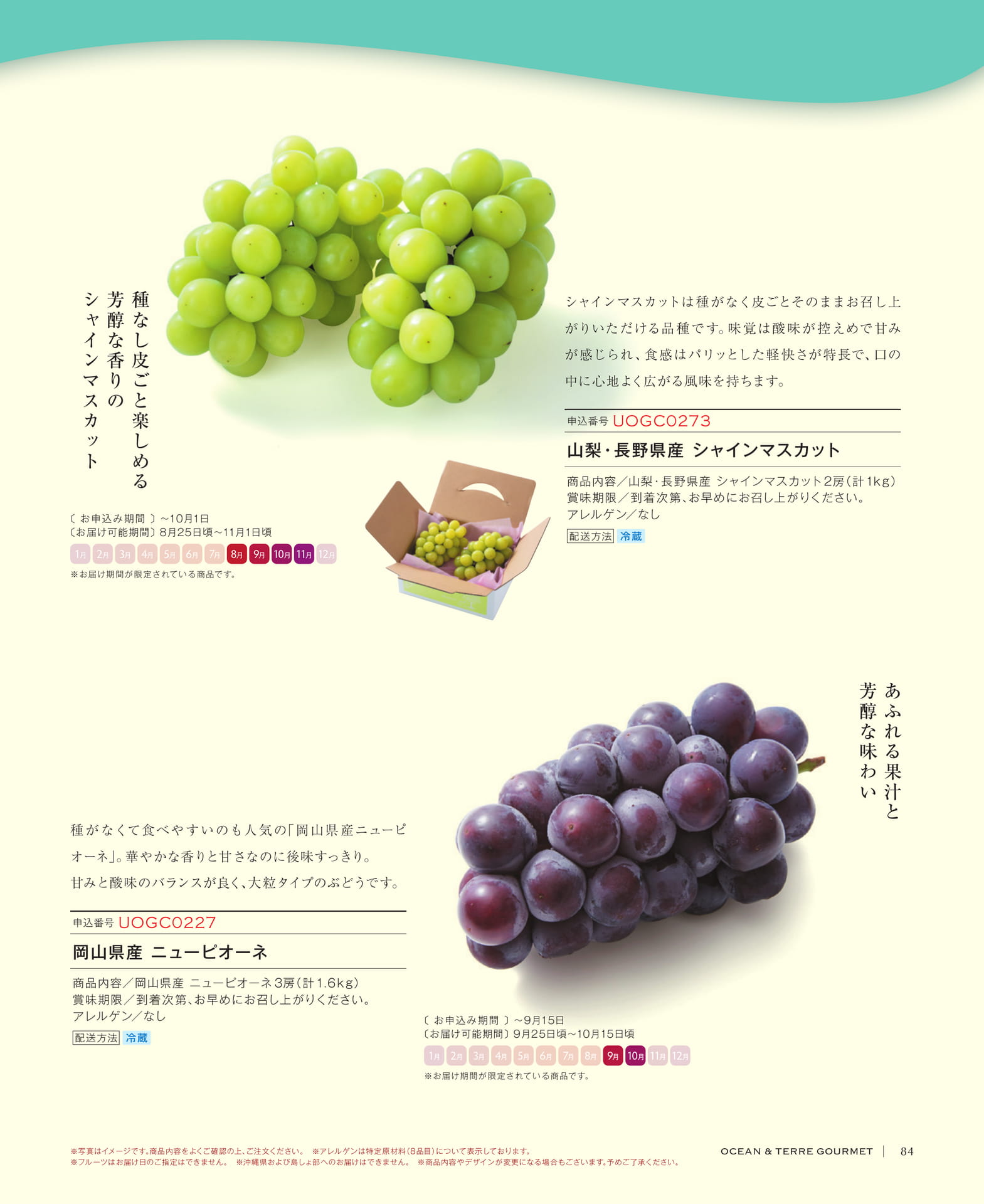 Page 85(85ページ目)
