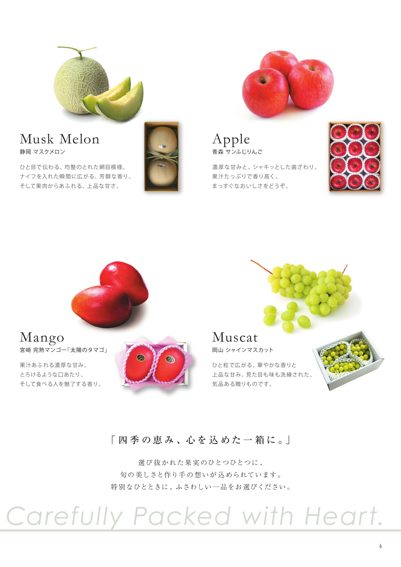Page 7（7ページ目）
