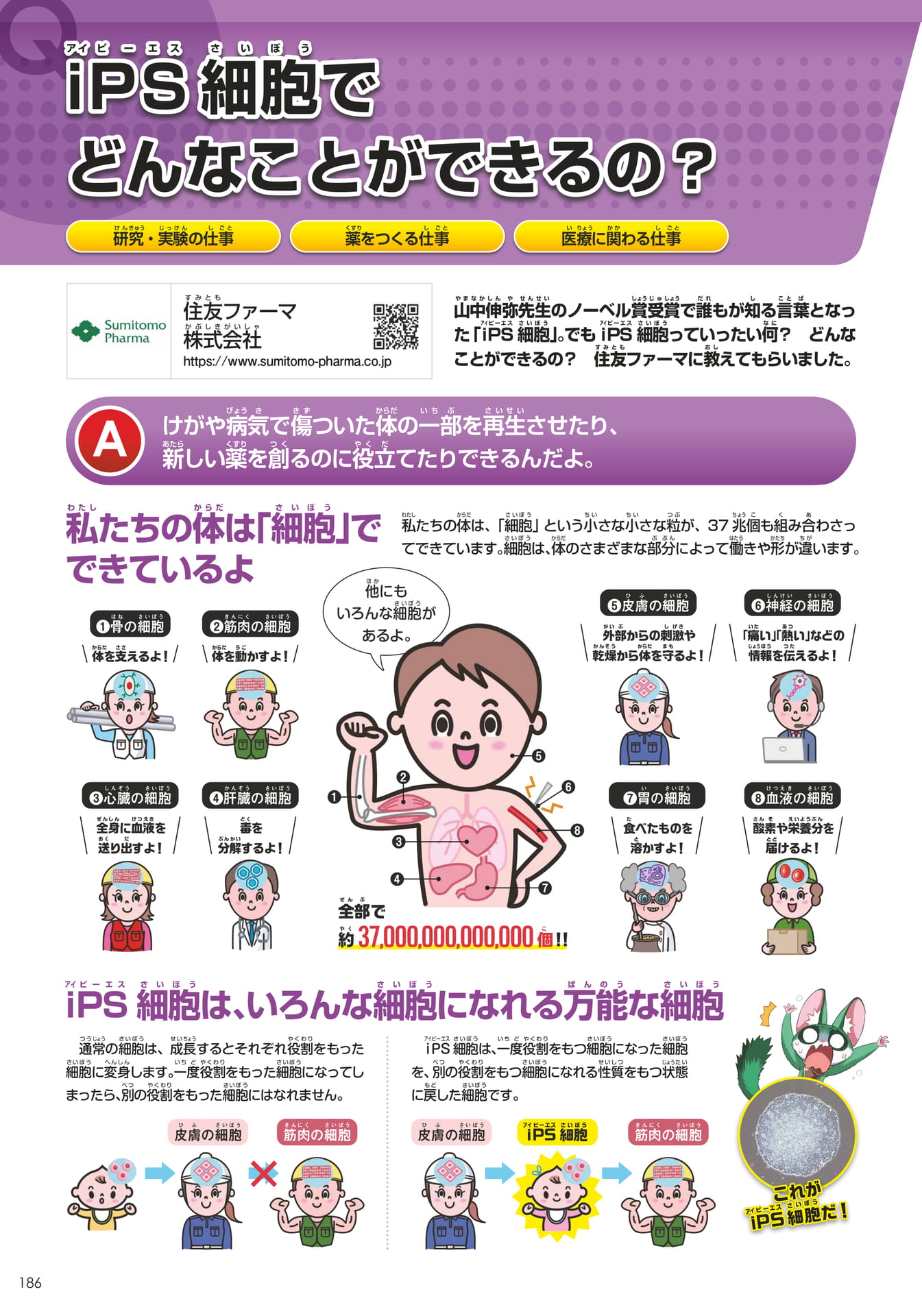 住友ファーマ(186ページ目)