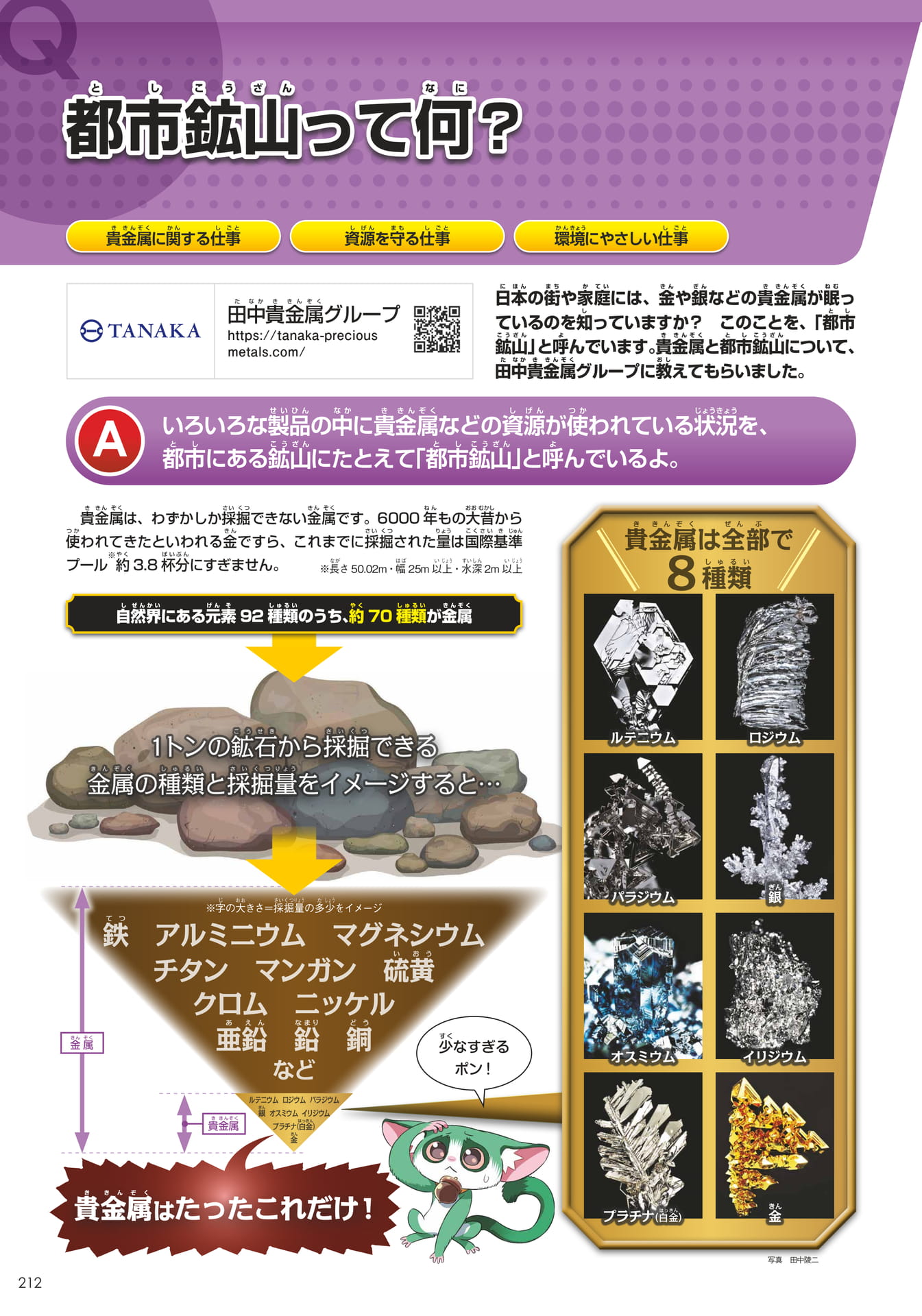 田中貴金属グループ(テクノロジー)(212ページ目)