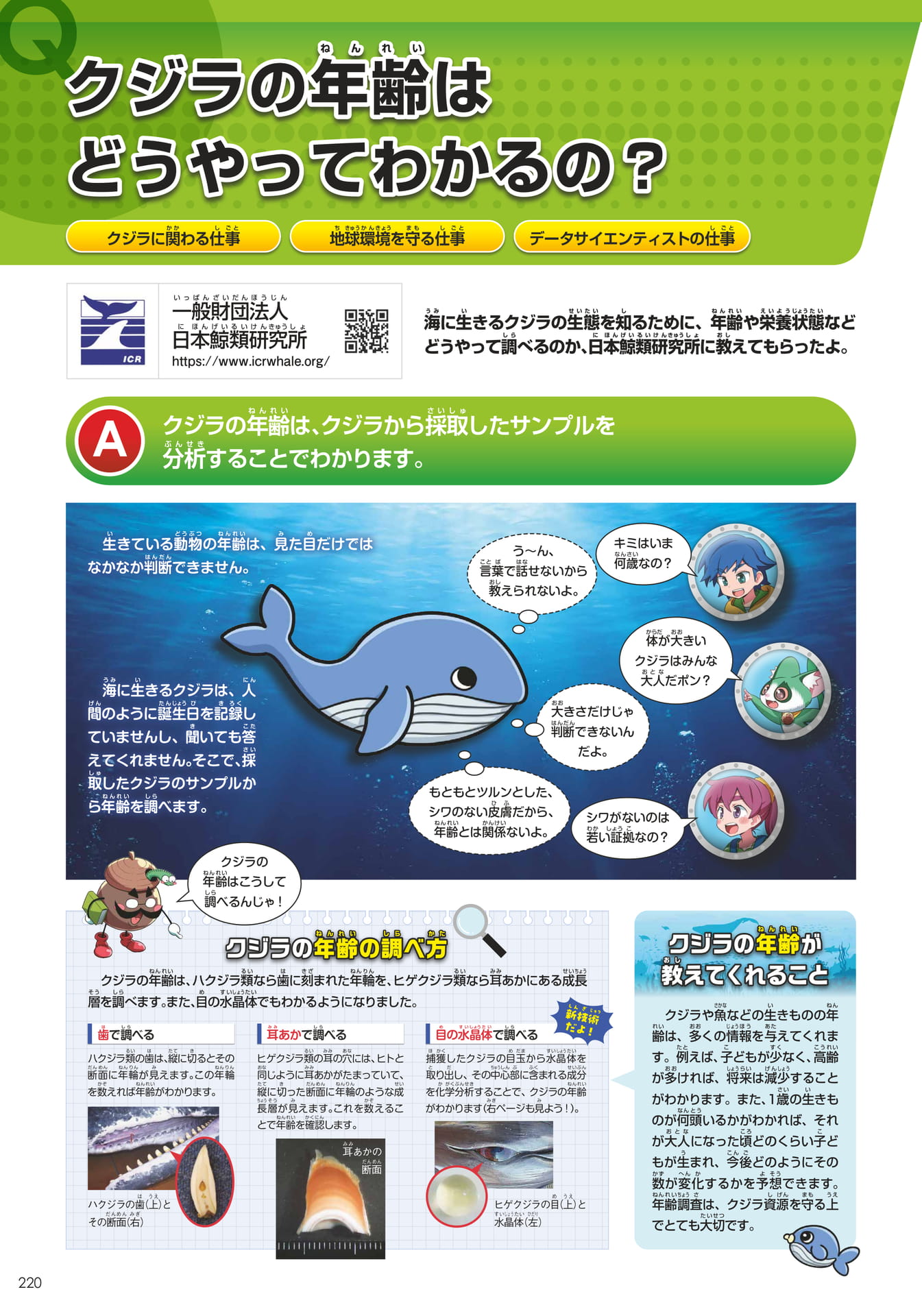 日本鯨類研究所(220ページ目)