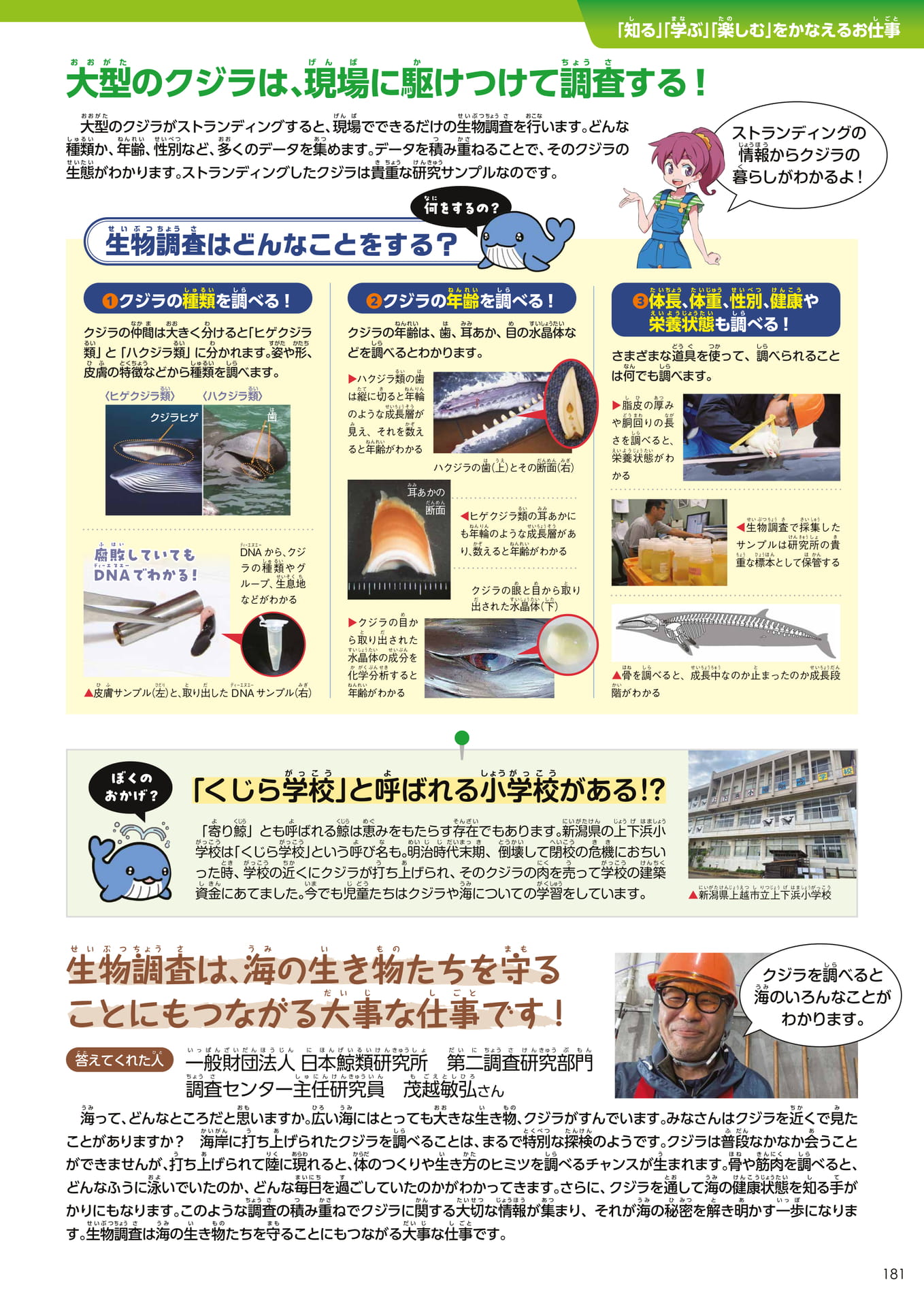 Page 181(181ページ目)