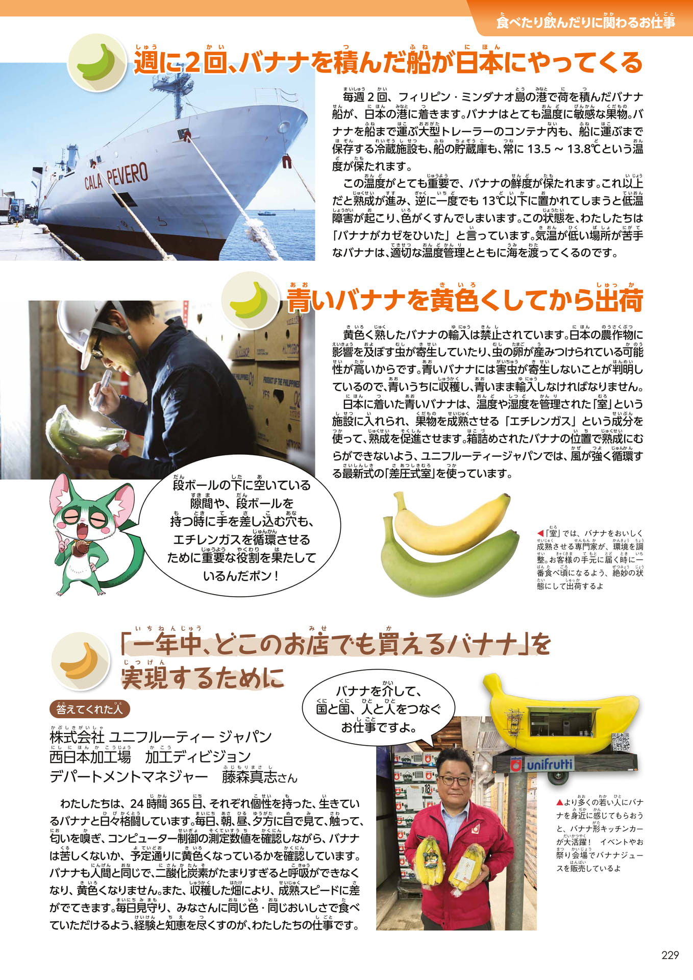 Page 229（229ページ目）
