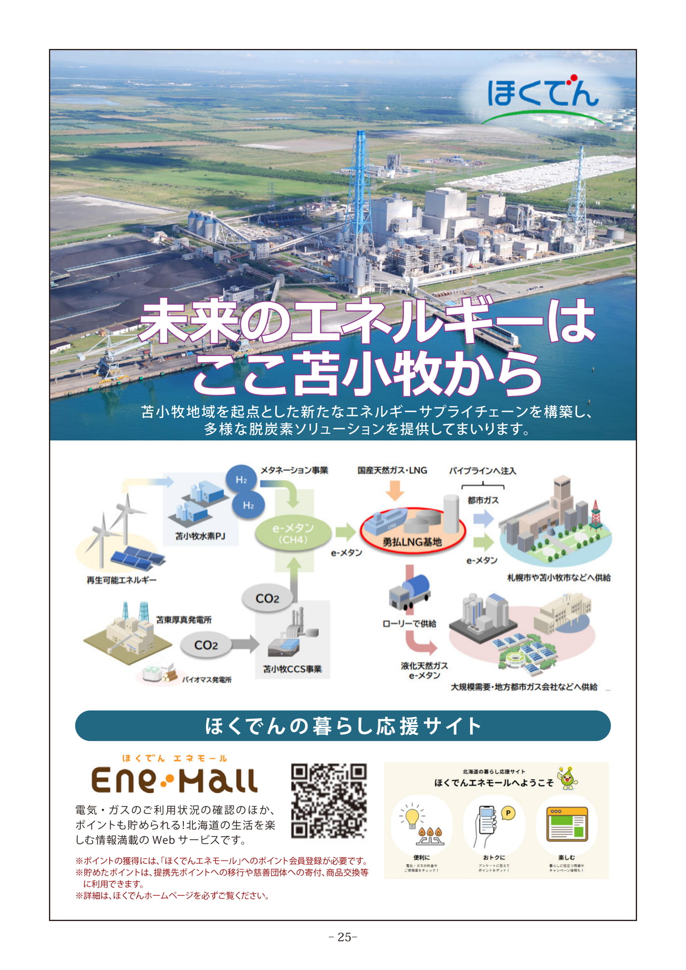 Page 25（25ページ目）