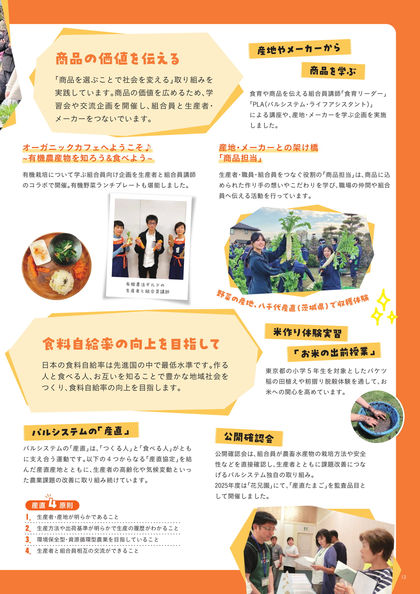 Page 13(13ページ目)