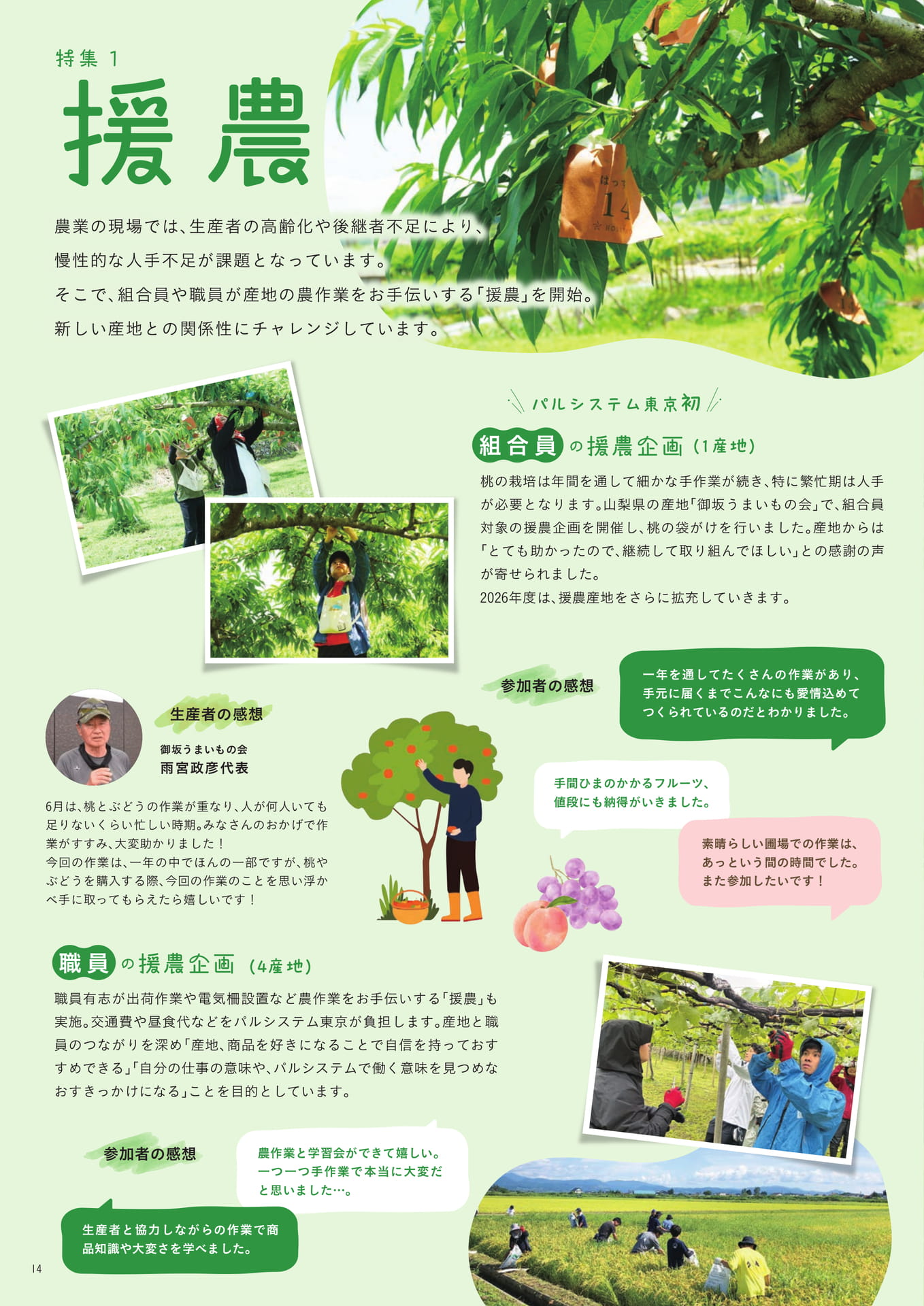 Page 14(14ページ目)
